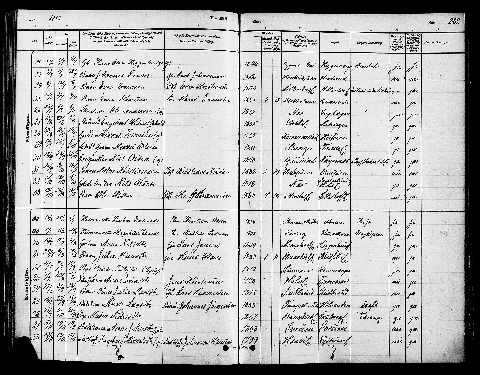 Ringsaker prestekontor, AV/SAH-PREST-014/K/Ka/L0012: Parish register (official) no. 12, 1879-1890, p. 289