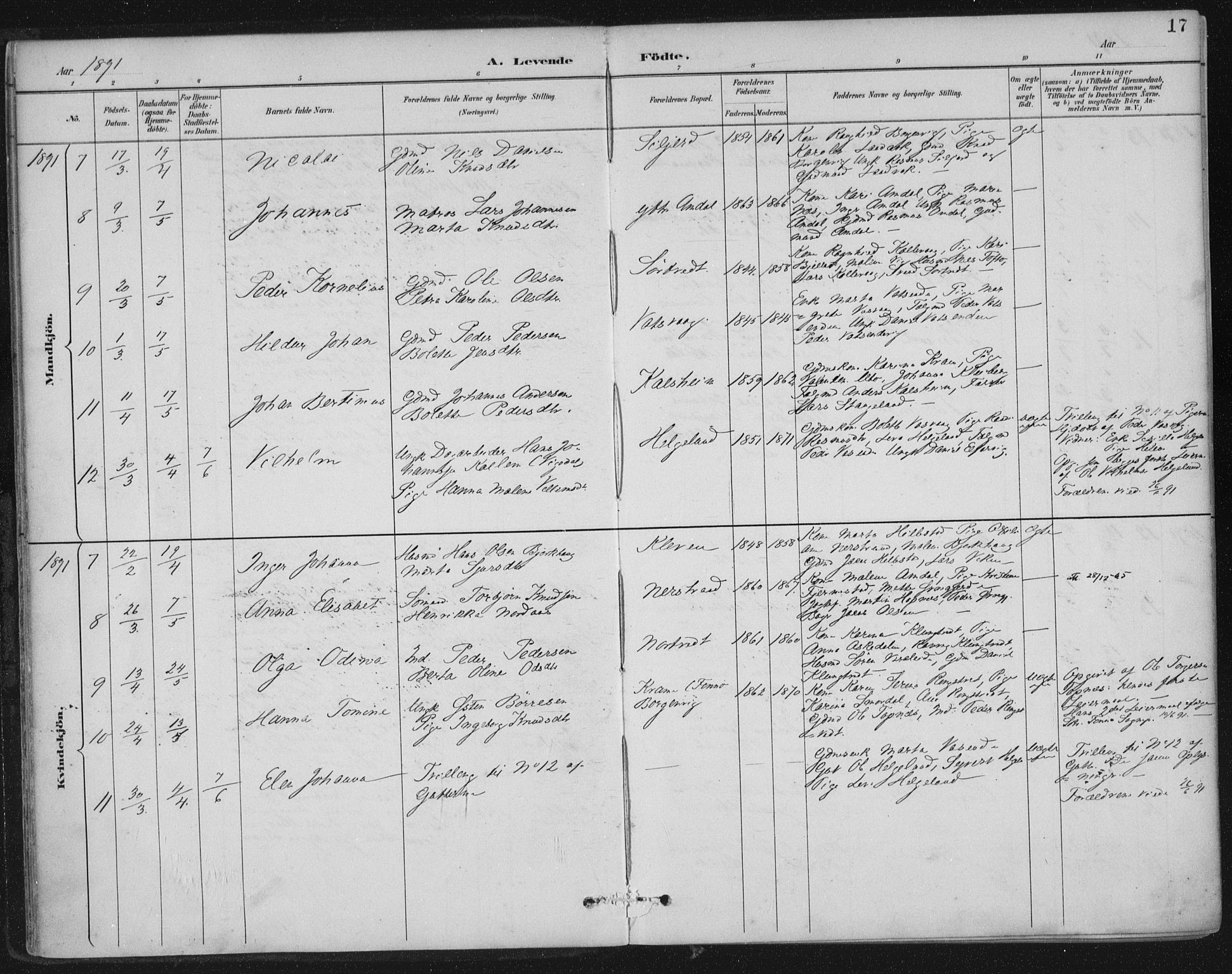 Nedstrand sokneprestkontor, AV/SAST-A-101841/01/IV: Parish register (official) no. A 12, 1887-1915, p. 17