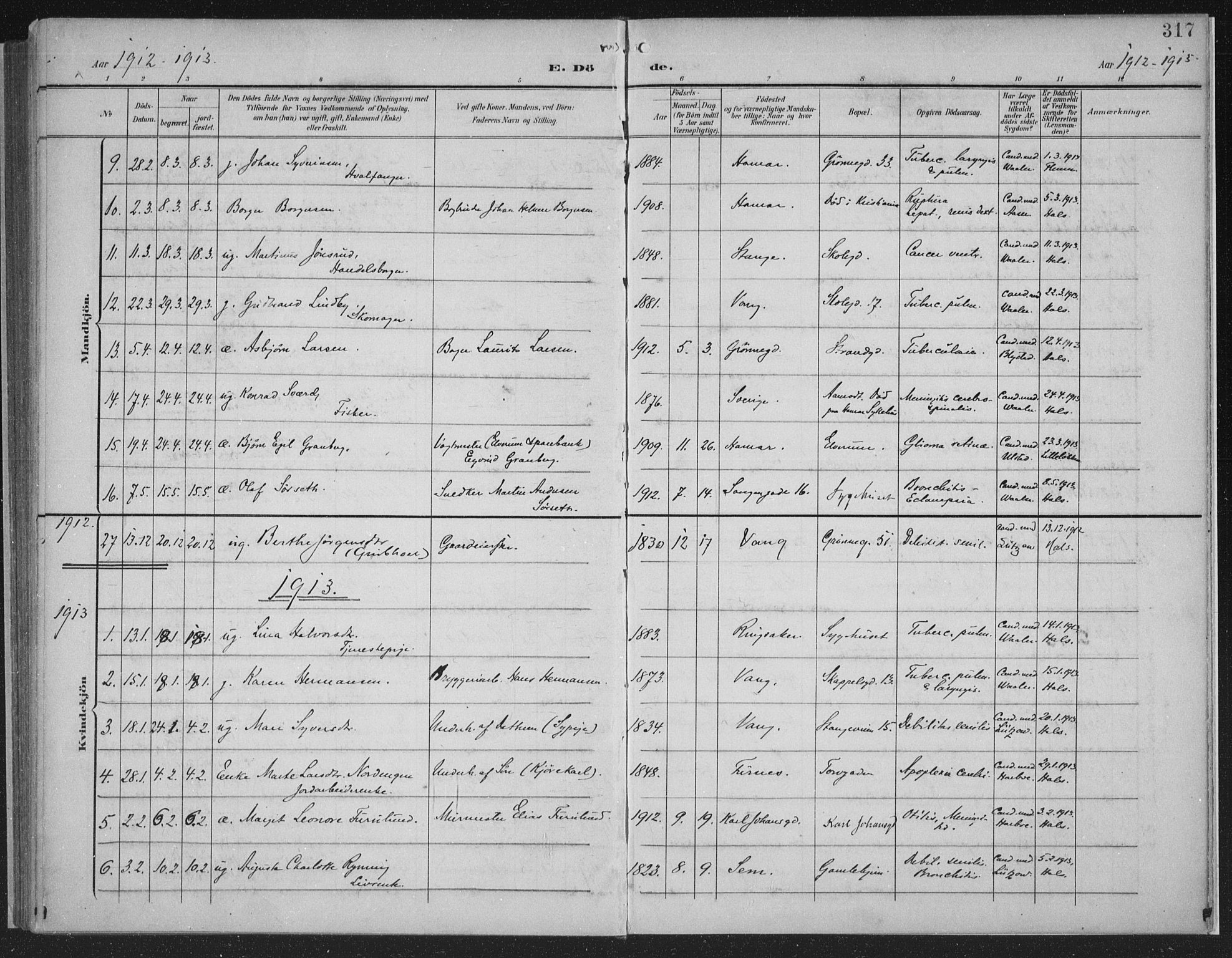 Hamar prestekontor, AV/SAH-DOMPH-002/H/Ha/Haa/L0001: Parish register (official) no. 1, 1900-1914, p. 317