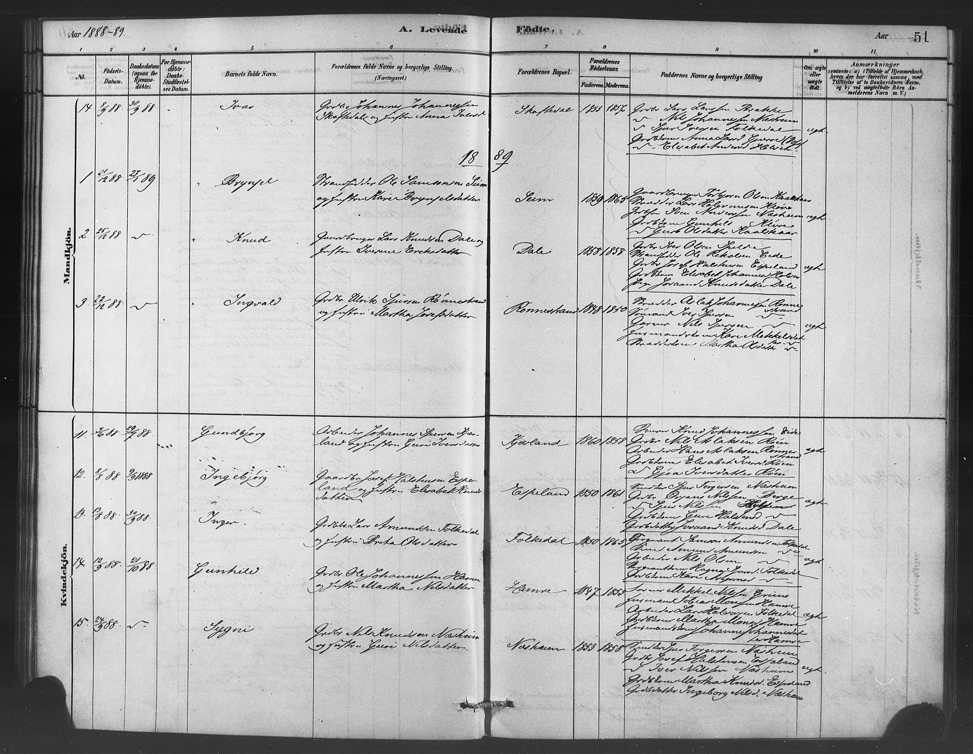 Ulvik sokneprestembete, SAB/A-78801/H/Haa: Parish register (official) no. C 1, 1878-1903, p. 51