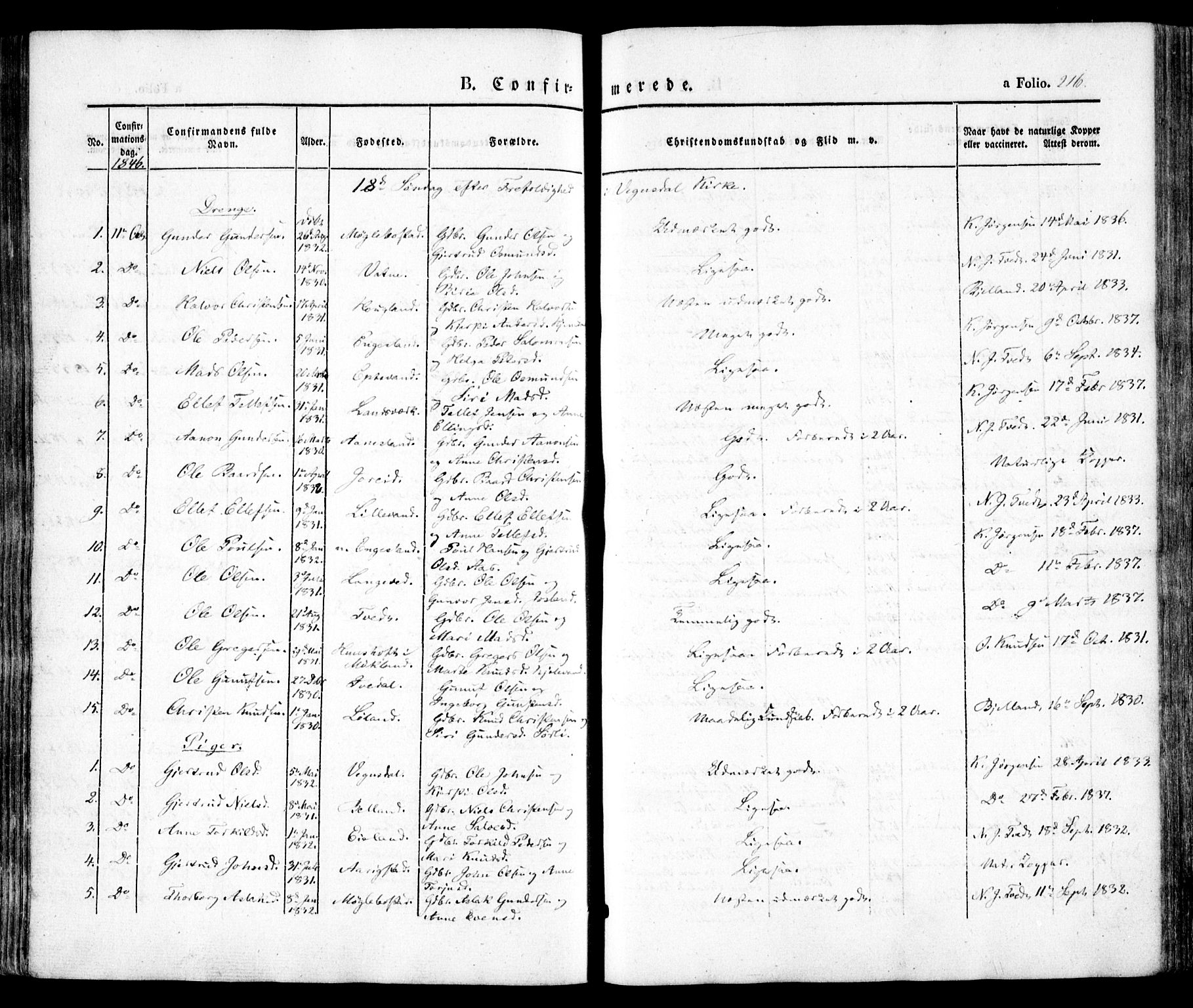 Evje sokneprestkontor, AV/SAK-1111-0008/F/Fa/Faa/L0005: Parish register (official) no. A 5, 1843-1865, p. 216