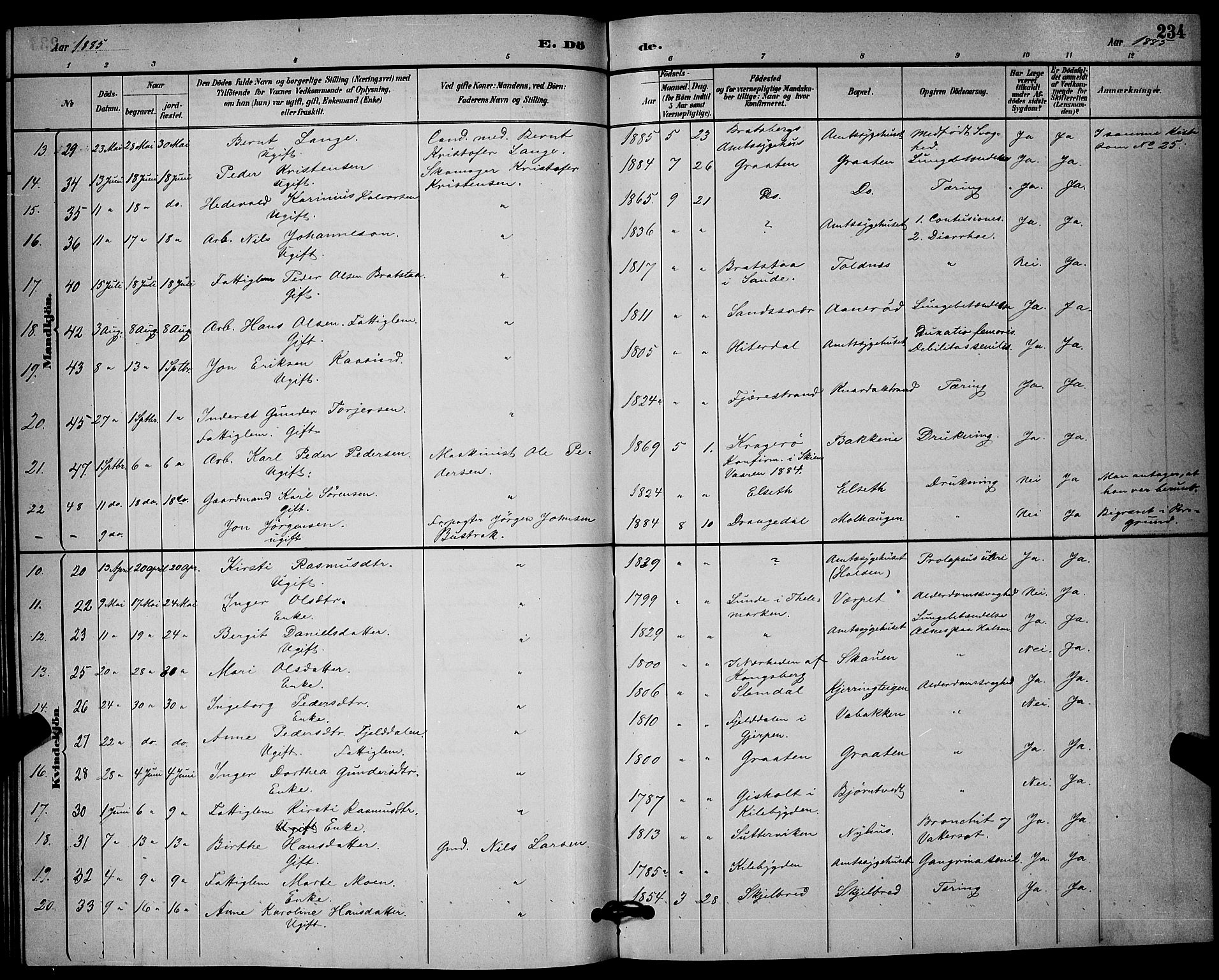 Solum kirkebøker, SAKO/A-306/G/Ga/L0007: Parish register (copy) no. I 7, 1884-1898, p. 234