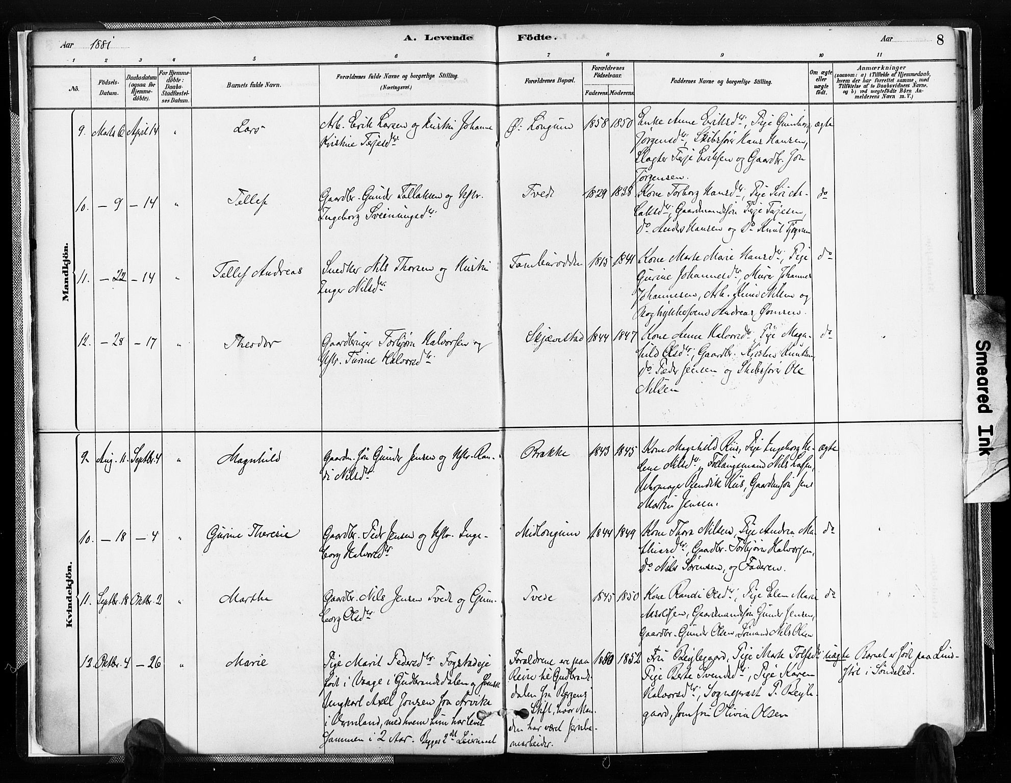 Austre Moland sokneprestkontor, SAK/1111-0001/F/Fa/Faa/L0010: Parish register (official) no. A 10, 1880-1904, p. 8