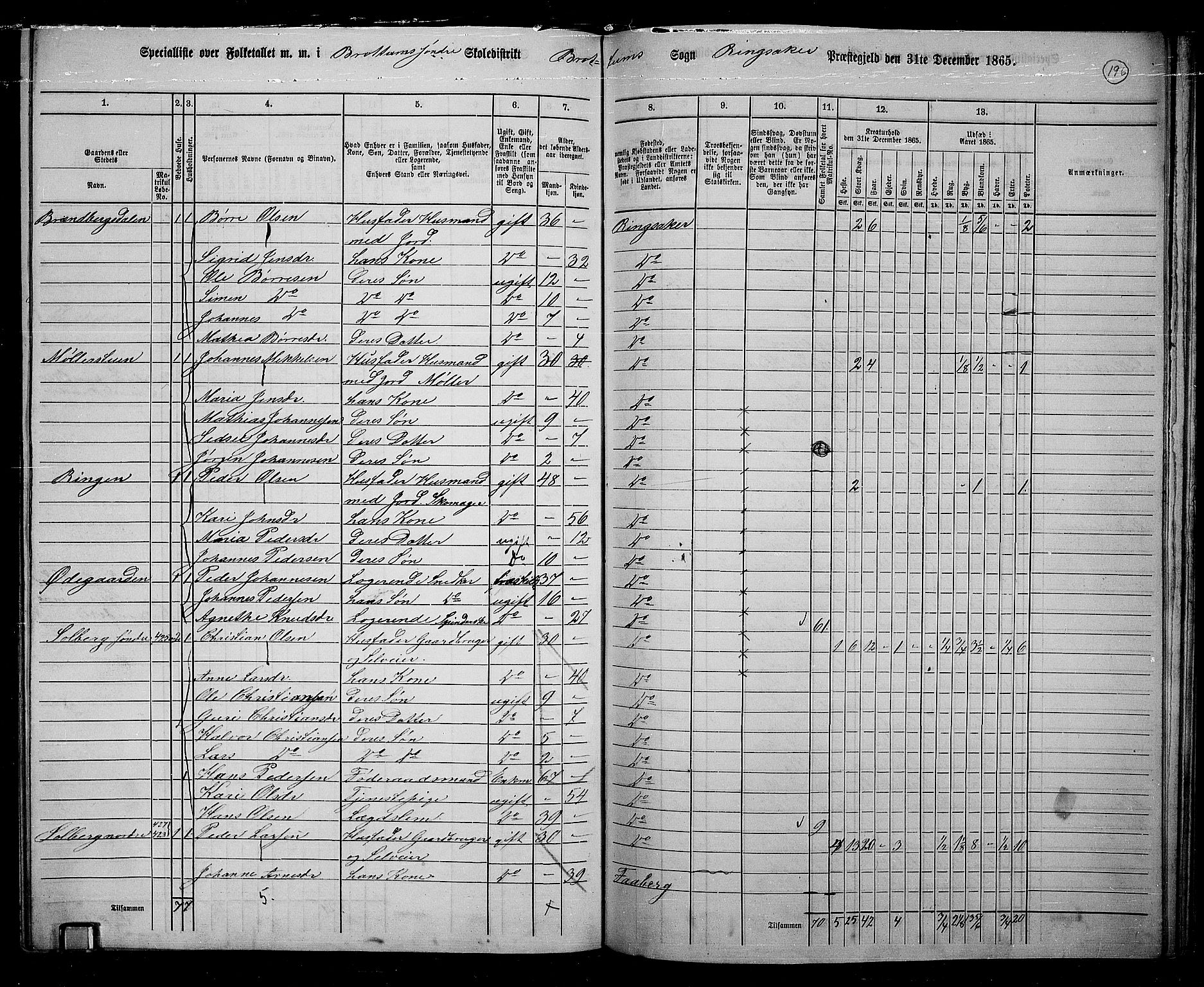 RA, 1865 census for Ringsaker, 1865, p. 438