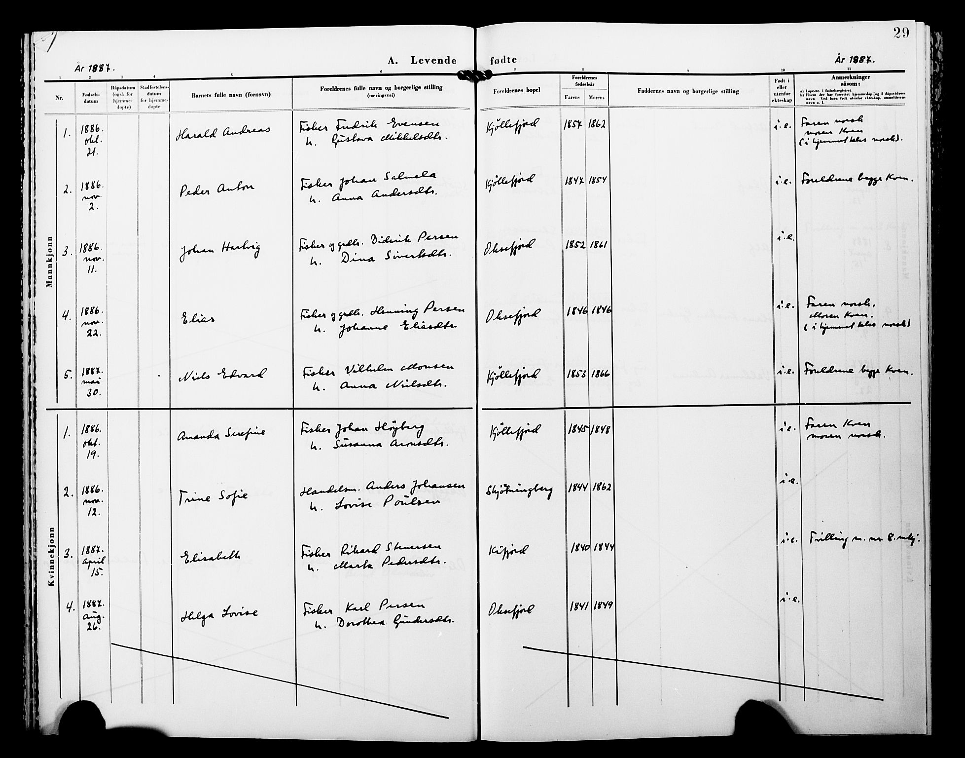 Lebesby sokneprestkontor, AV/SATØ-S-1353/H/Ha/L0005kirke: Parish register (official) no. 5, 1870-1902, p. 29