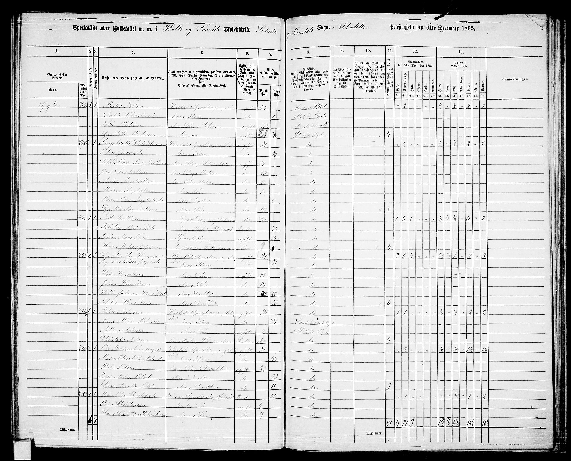 RA, 1865 census for Stokke, 1865, p. 155