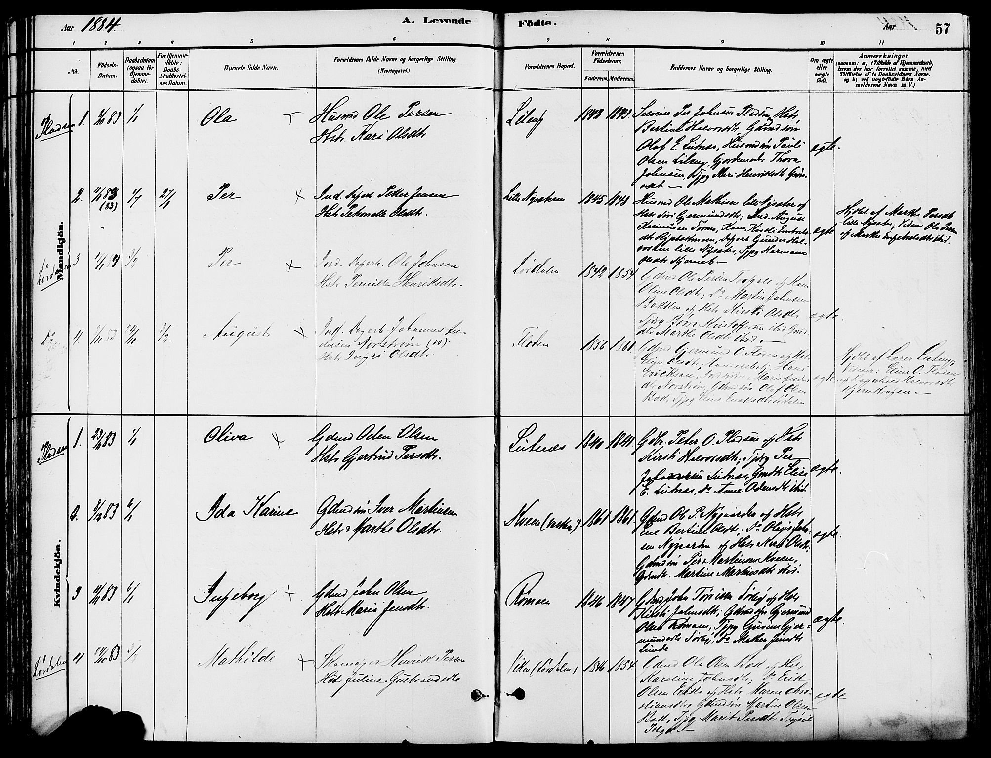 Trysil prestekontor, SAH/PREST-046/H/Ha/Haa/L0008: Parish register (official) no. 8, 1881-1897, p. 57
