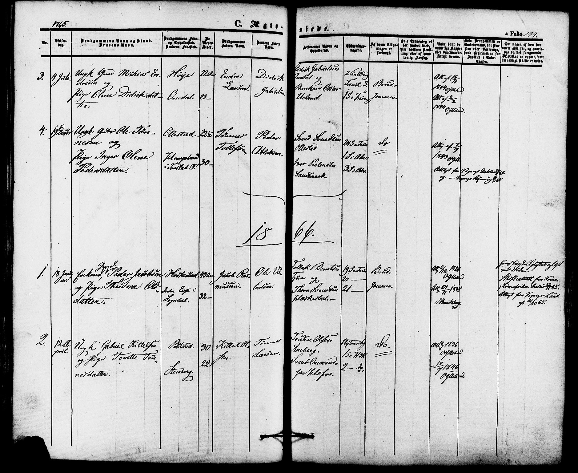 Lund sokneprestkontor, AV/SAST-A-101809/S06/L0010: Parish register (official) no. A 9, 1854-1886, p. 244