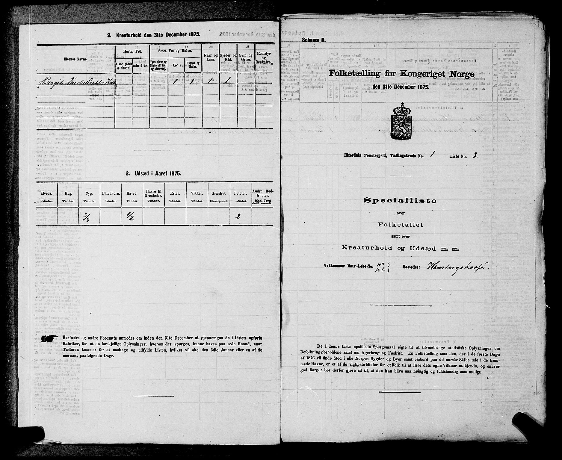 SAKO, 1875 census for 0823P Heddal, 1875, p. 43