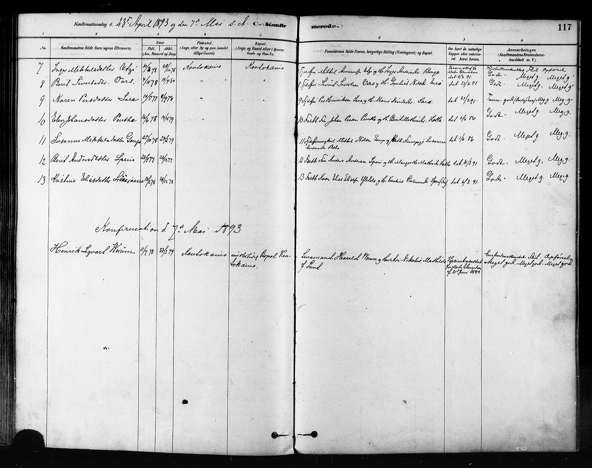 Kautokeino sokneprestembete, AV/SATØ-S-1340/H/Ha/L0004.kirke: Parish register (official) no. 4, 1877-1896, p. 117