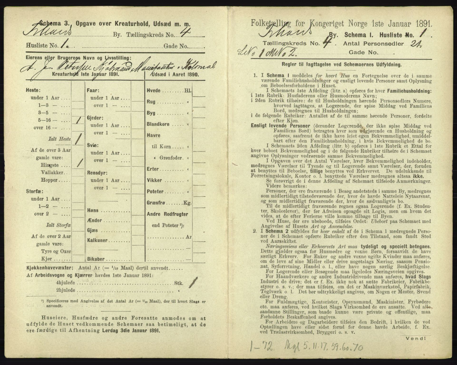 RA, 1891 census for 0101 Fredrikshald, 1891, p. 358