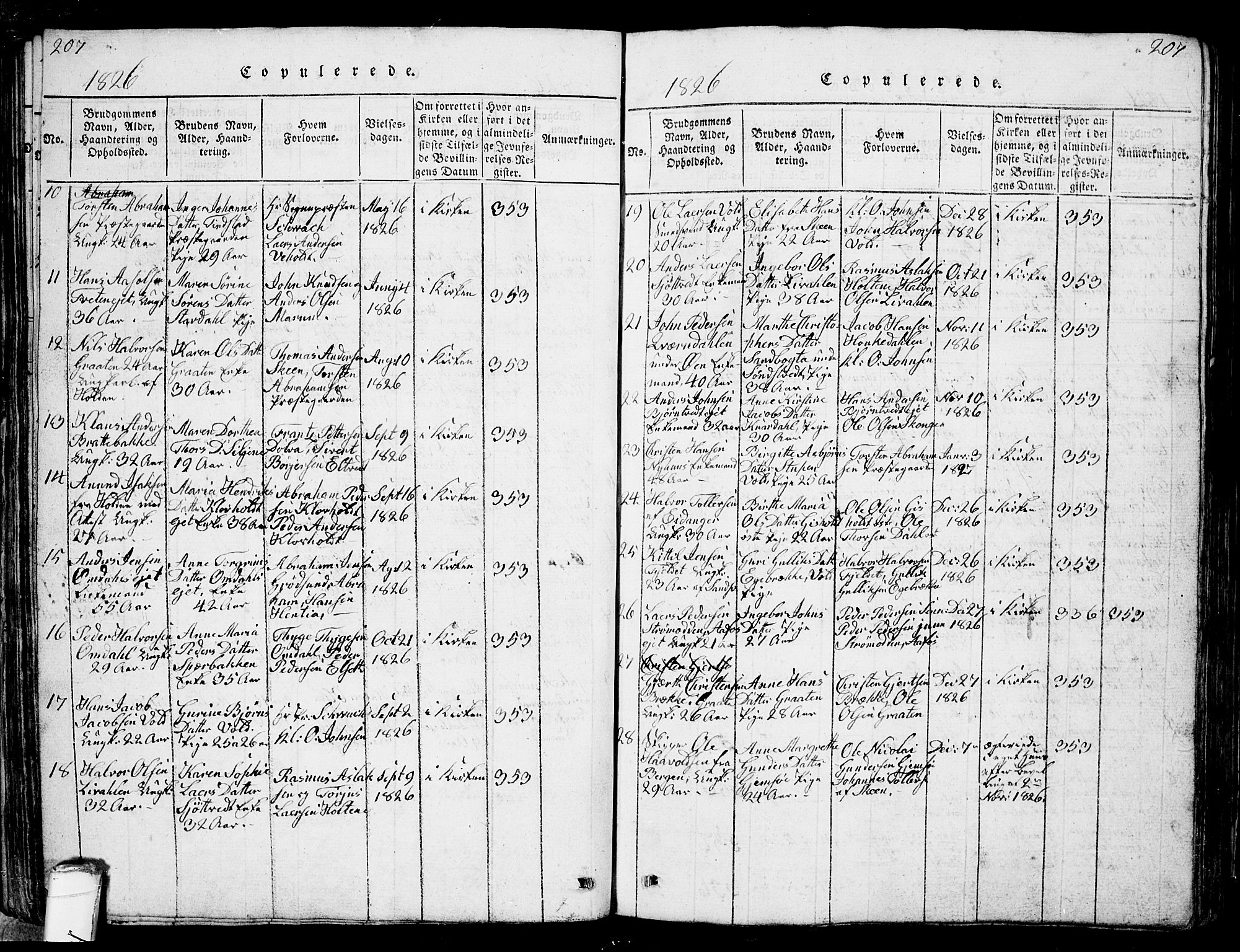 Solum kirkebøker, AV/SAKO-A-306/G/Ga/L0001: Parish register (copy) no. I 1, 1814-1833, p. 207