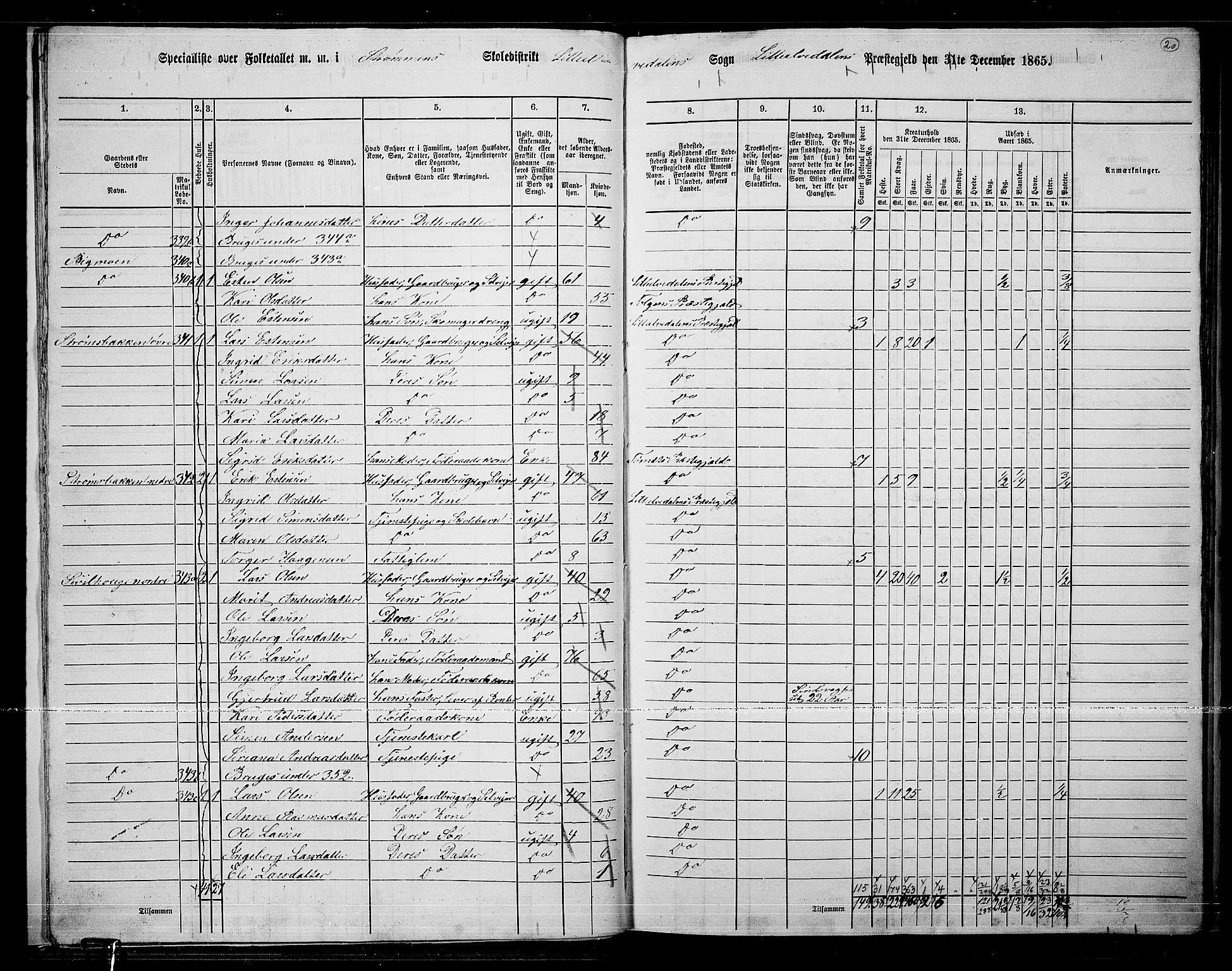 RA, 1865 census for Lille Elvedalen, 1865, p. 19