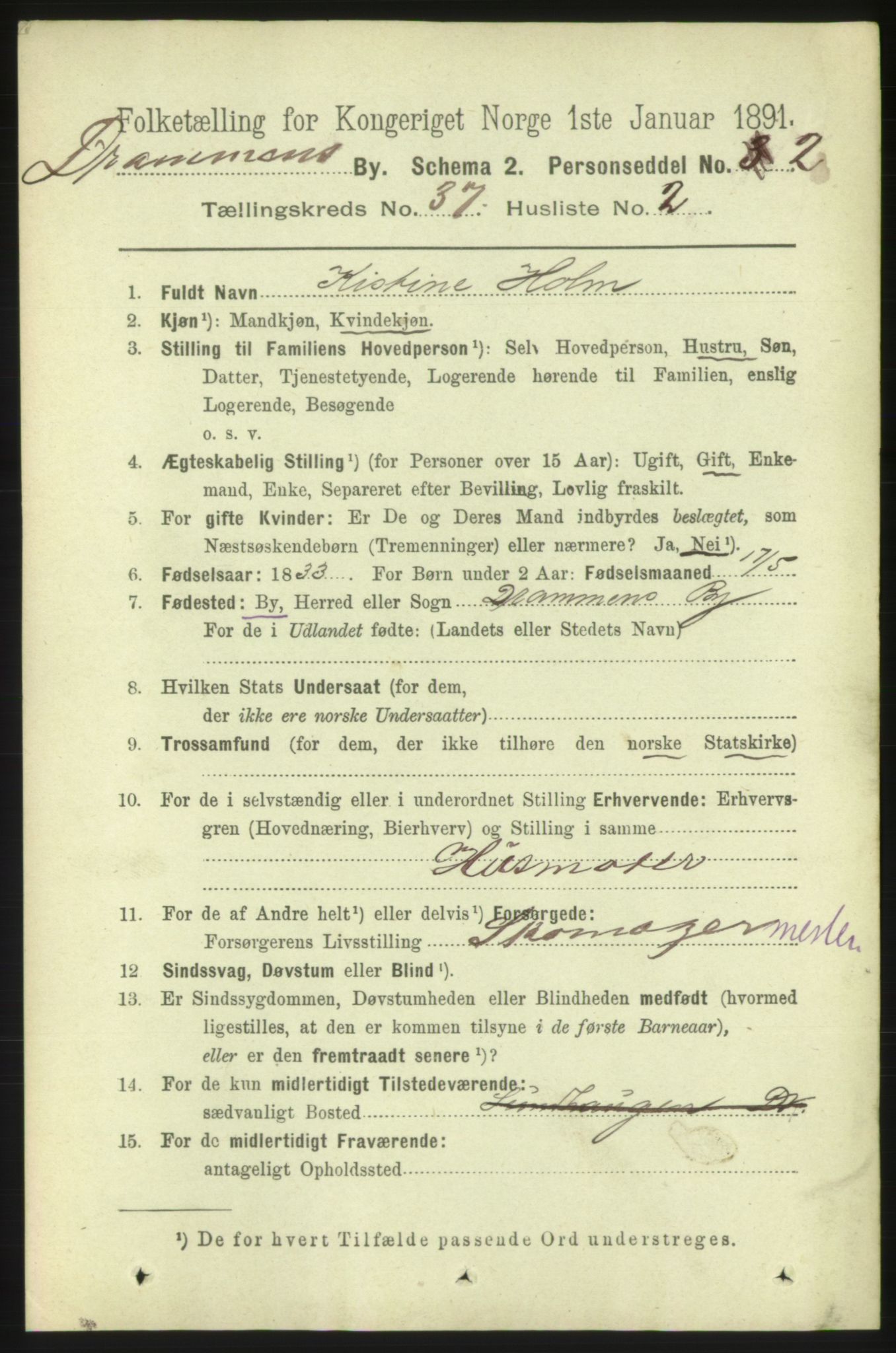 RA, 1891 census for 0602 Drammen, 1891, p. 22809