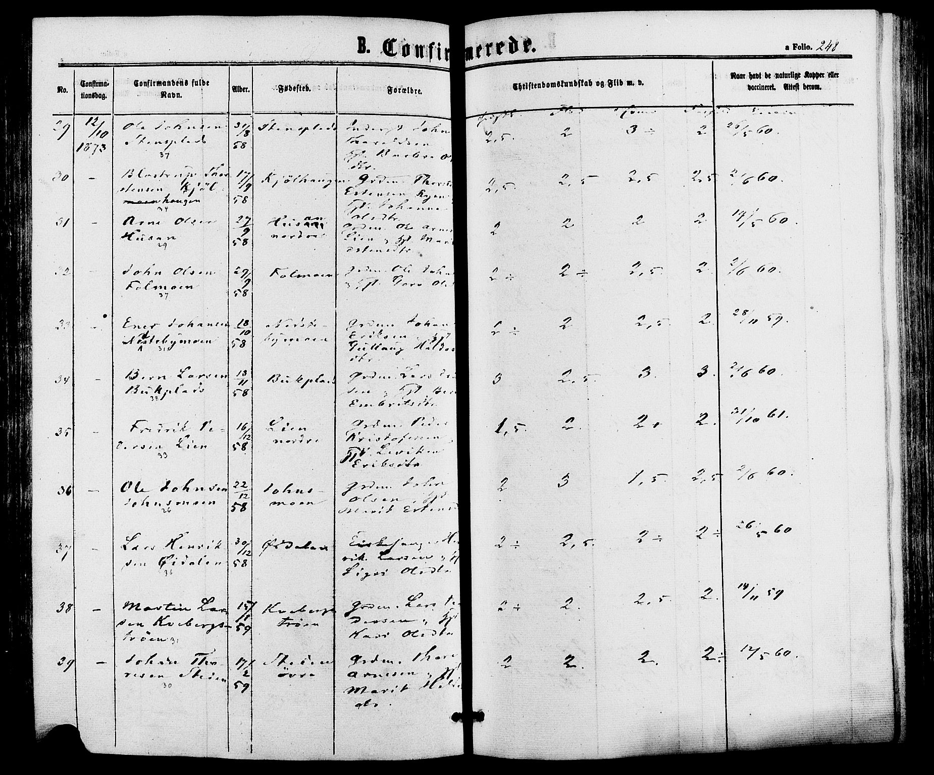 Alvdal prestekontor, SAH/PREST-060/H/Ha/Haa/L0001: Parish register (official) no. 1, 1863-1882, p. 248