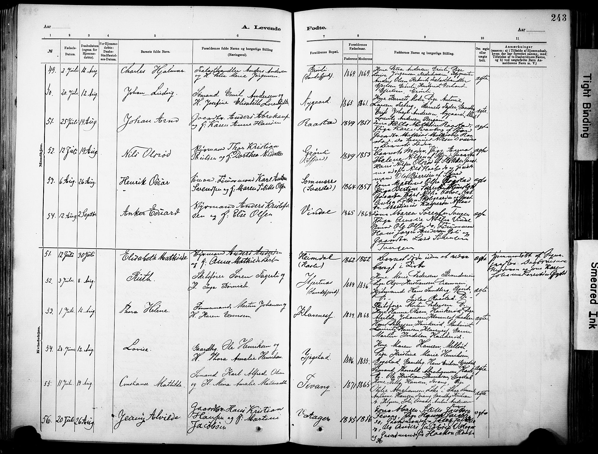 Sandar kirkebøker, AV/SAKO-A-243/F/Fa/L0012: Parish register (official) no. 12, 1883-1895, p. 243