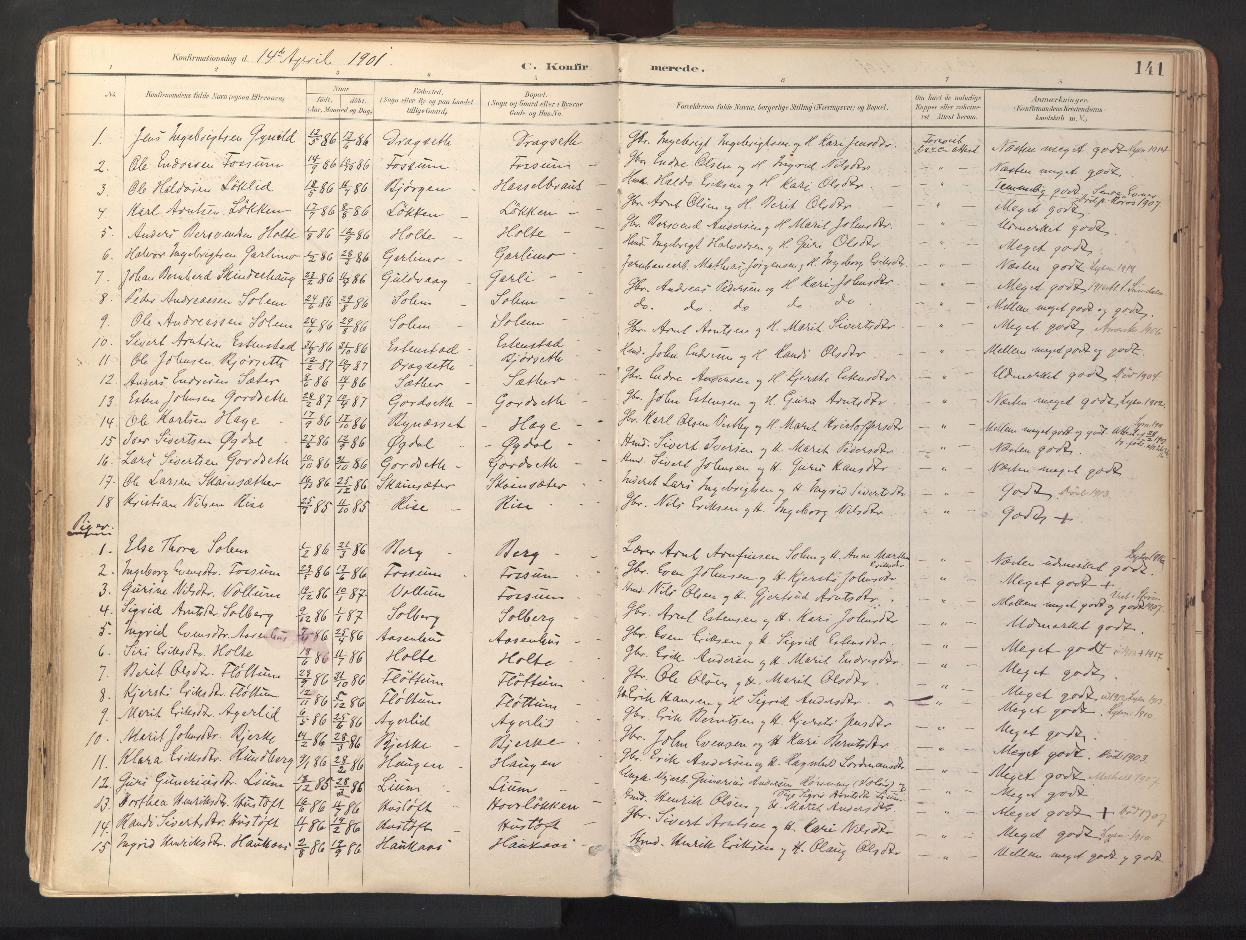 Ministerialprotokoller, klokkerbøker og fødselsregistre - Sør-Trøndelag, SAT/A-1456/689/L1041: Parish register (official) no. 689A06, 1891-1923, p. 141