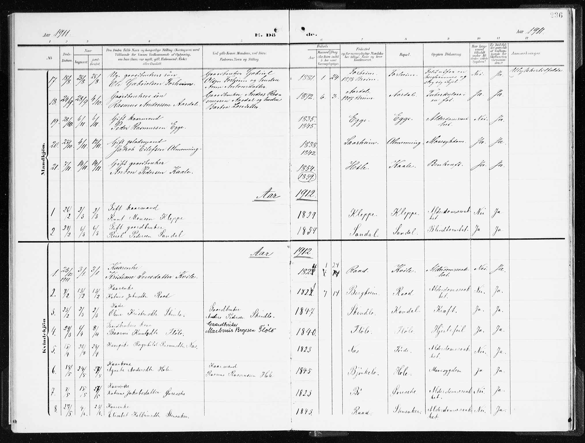 Gloppen sokneprestembete, AV/SAB-A-80101/H/Haa/Haac/L0003: Parish register (official) no. C 3, 1904-1921, p. 236