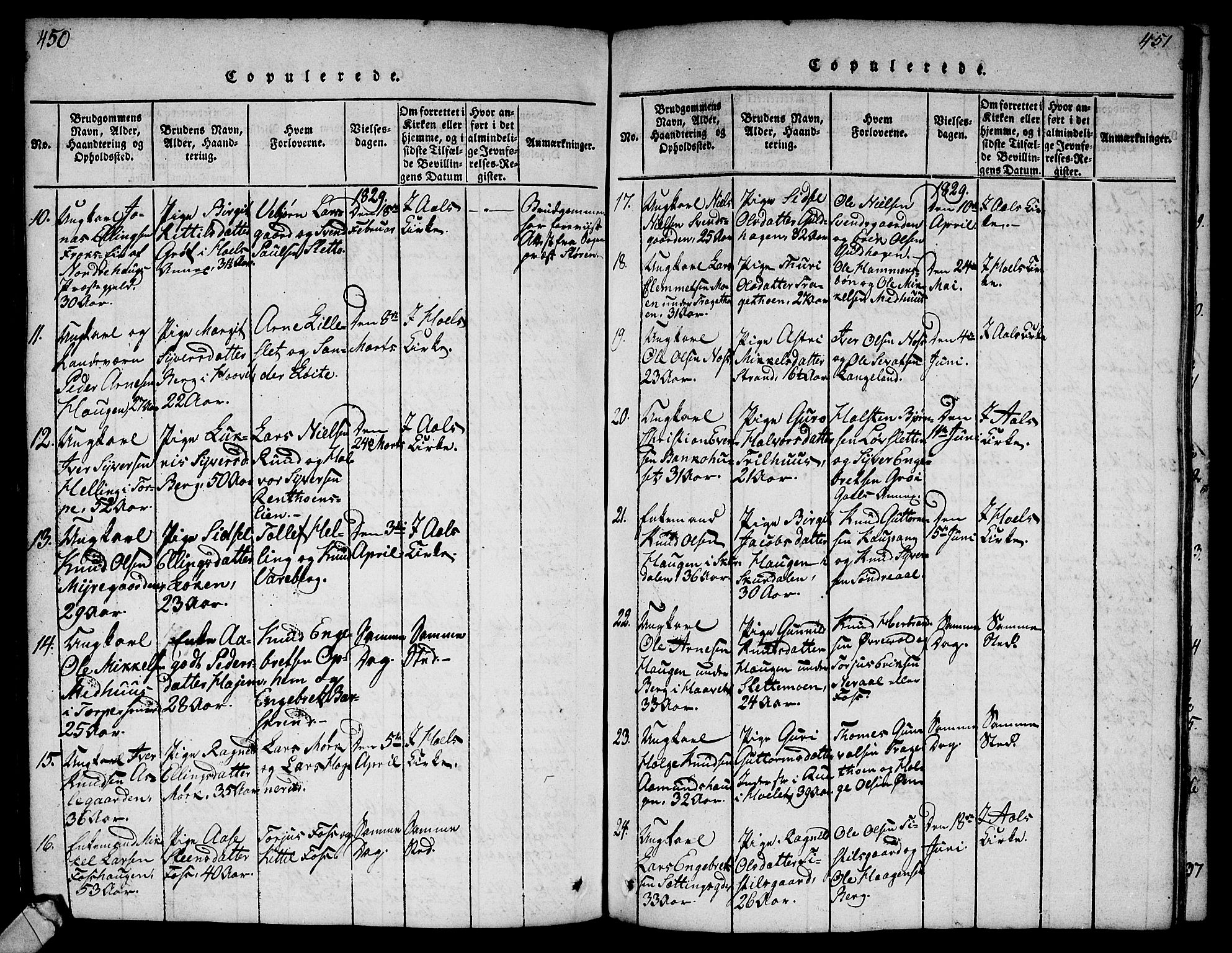 Ål kirkebøker, AV/SAKO-A-249/G/Ga/L0001: Parish register (copy) no. 1, 1815-1829, p. 450-451