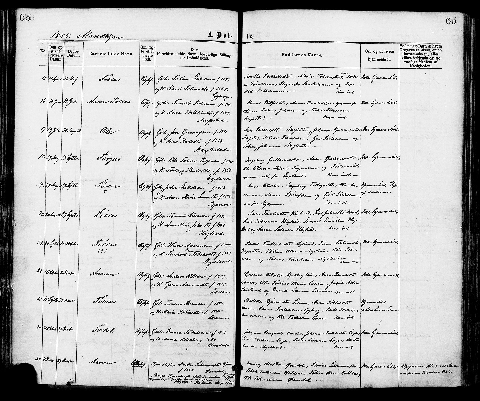 Hægebostad sokneprestkontor, AV/SAK-1111-0024/F/Fa/Faa/L0005: Parish register (official) no. A 5, 1864-1886, p. 65