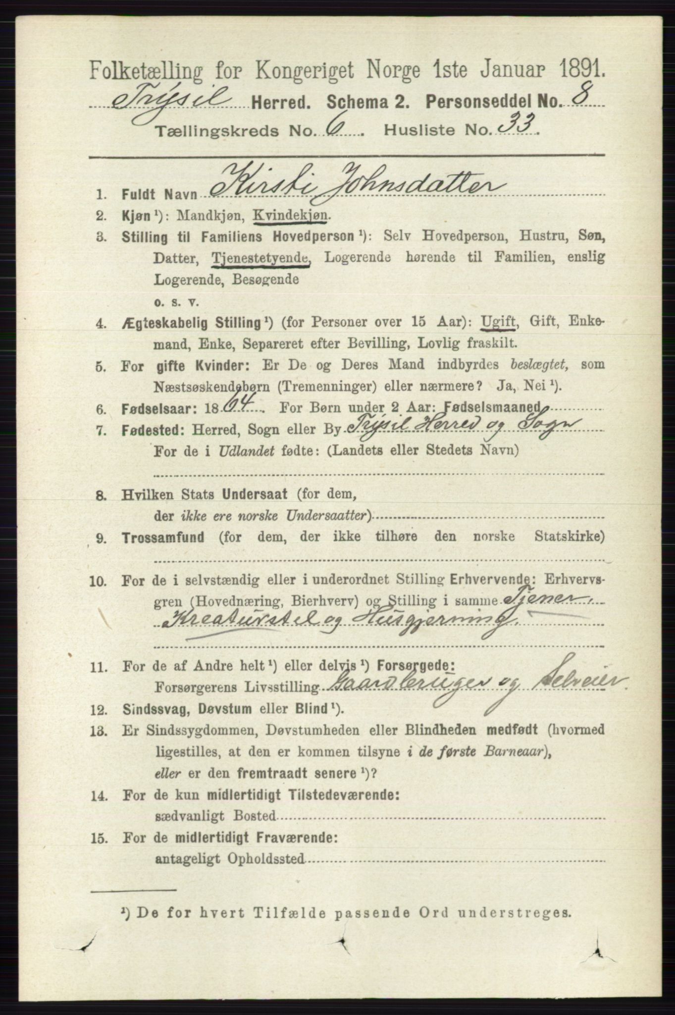 RA, 1891 census for 0428 Trysil, 1891, p. 3063