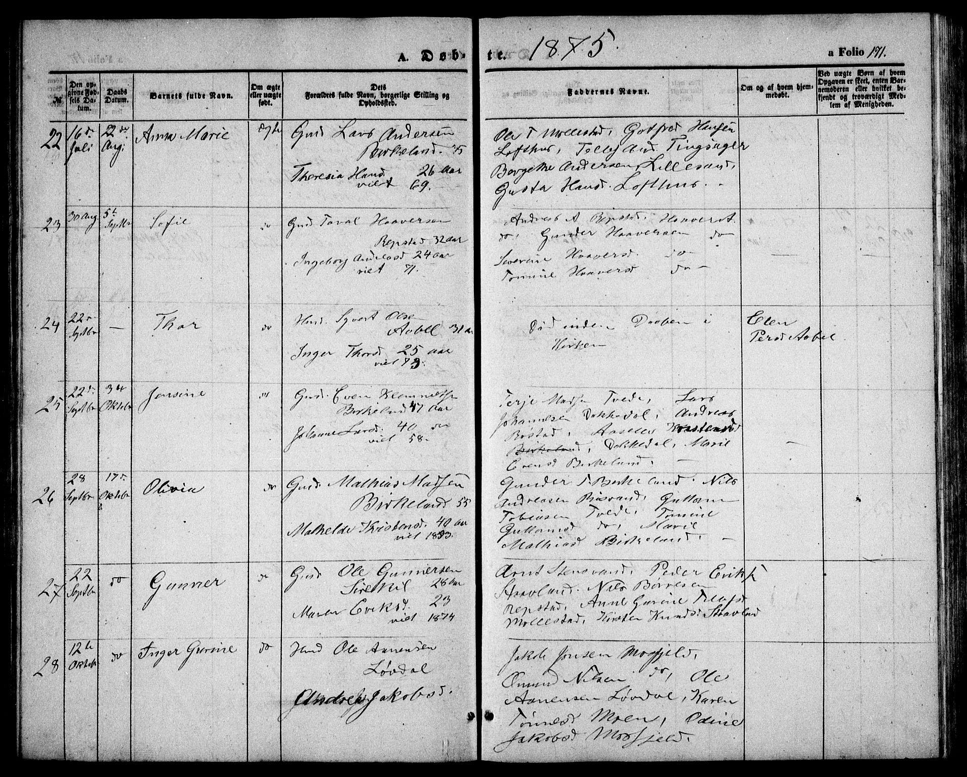 Birkenes sokneprestkontor, SAK/1111-0004/F/Fb/L0002: Parish register (copy) no. B 2, 1849-1876, p. 171