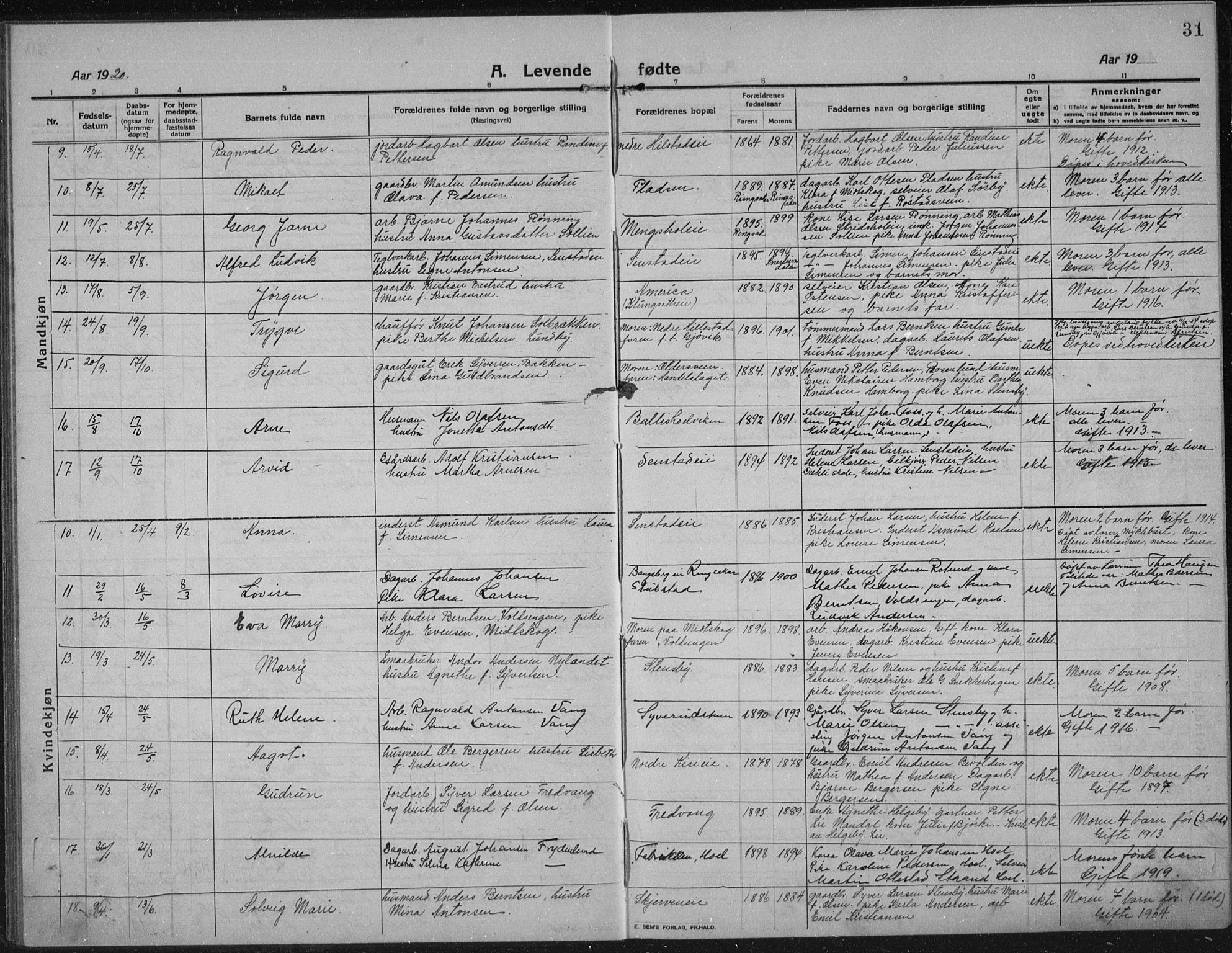 Nes prestekontor, Hedmark, AV/SAH-PREST-020/L/La/L0009: Parish register (copy) no. 9, 1913-1936, p. 31