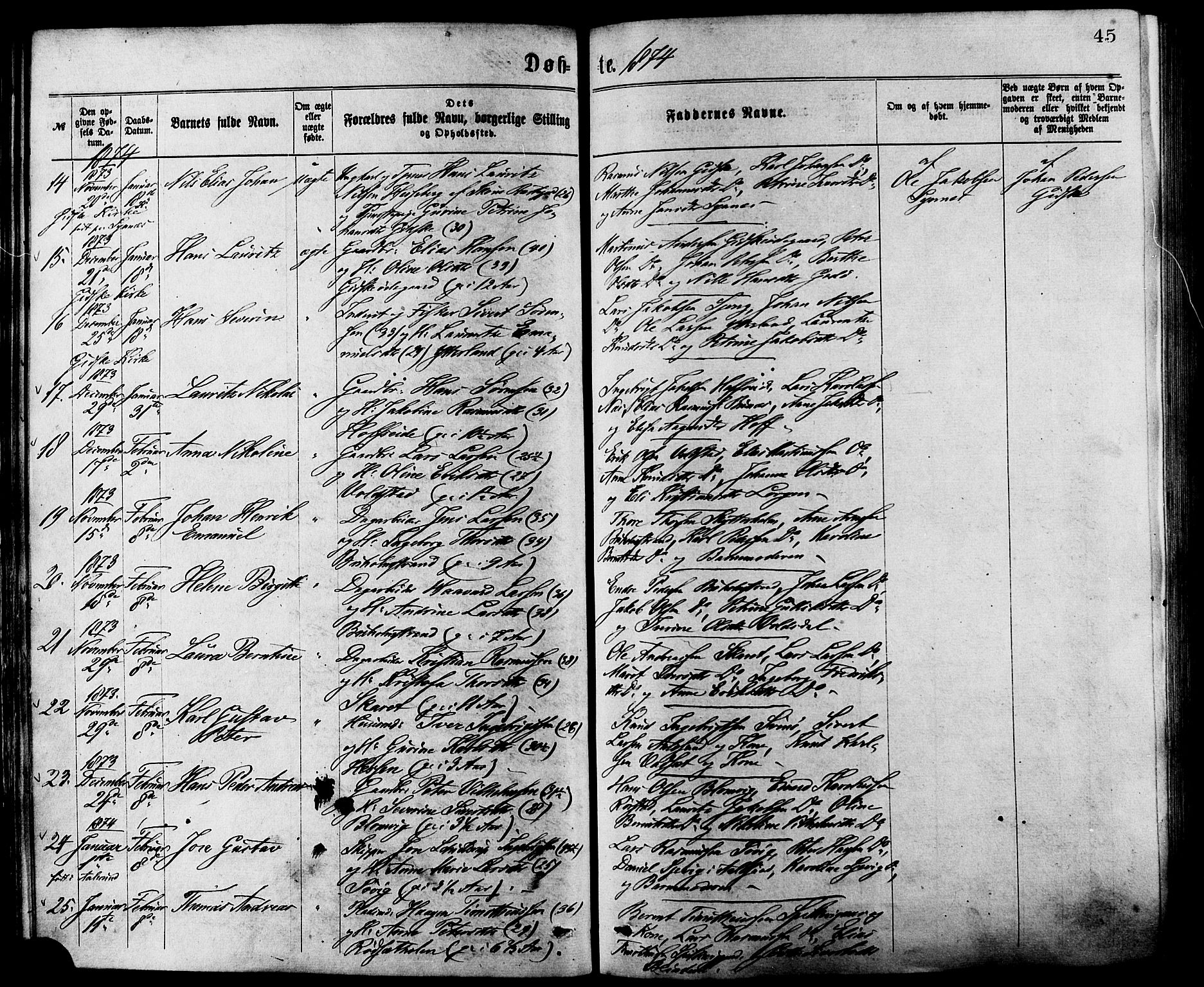 Ministerialprotokoller, klokkerbøker og fødselsregistre - Møre og Romsdal, AV/SAT-A-1454/528/L0400: Parish register (official) no. 528A11, 1871-1879, p. 45