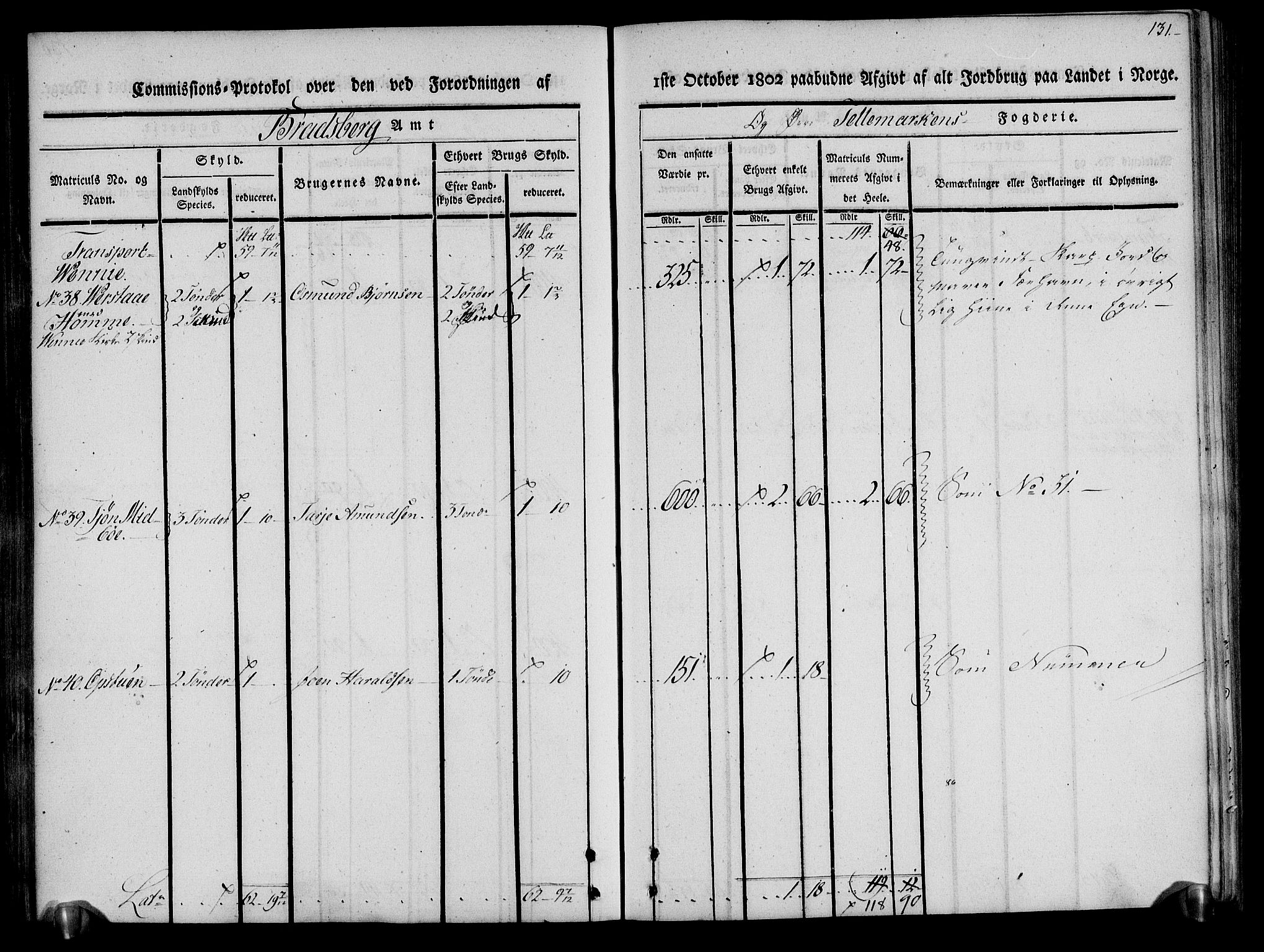 Rentekammeret inntil 1814, Realistisk ordnet avdeling, RA/EA-4070/N/Ne/Nea/L0075: Øvre Telemarken fogderi. Kommisjonsprotokoll for fogderiets vestre del - Kviteseid, Vinje, Moland [):Fyresdal] og Lårdal prestegjeld., 1803, p. 132