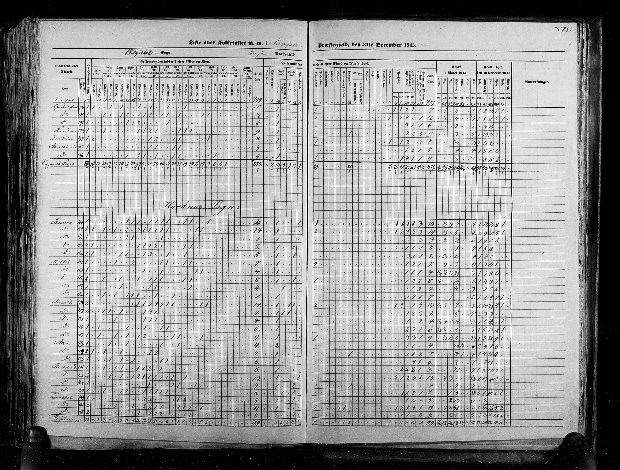 RA, Census 1845, vol. 5: Bratsberg amt og Nedenes og Råbyggelaget amt, 1845, p. 375