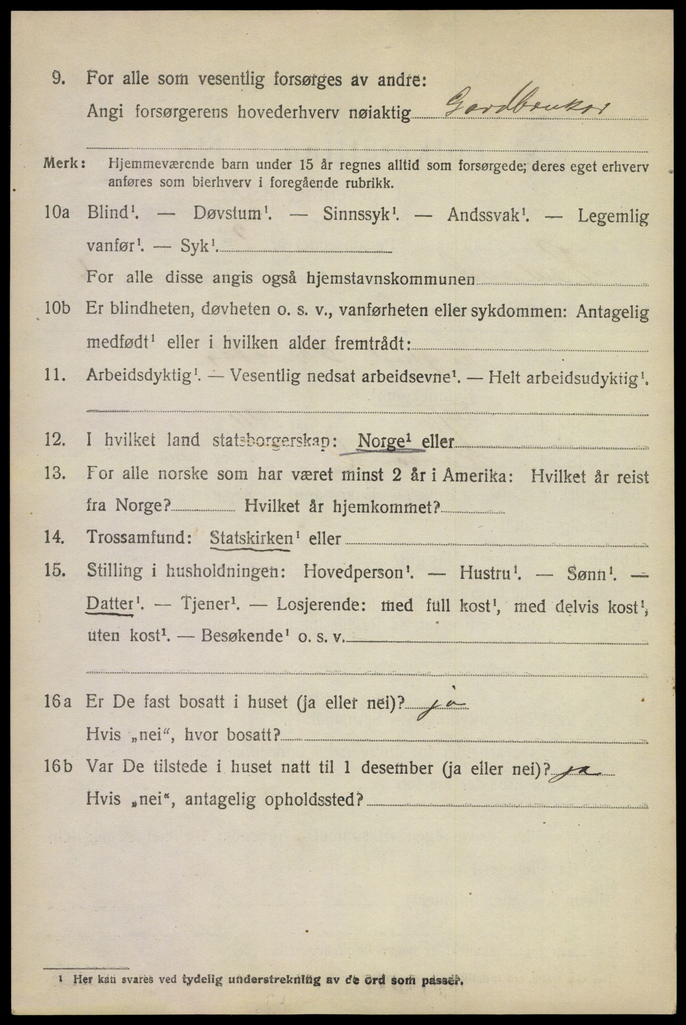 SAKO, 1920 census for Rauland, 1920, p. 815