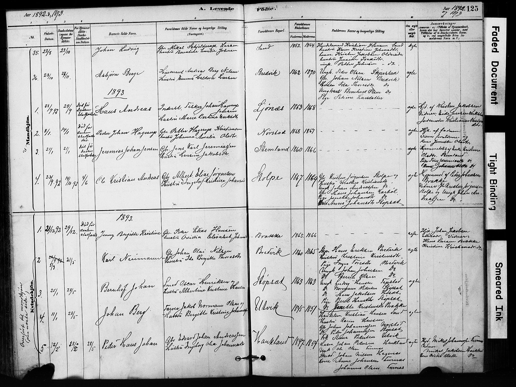 Ministerialprotokoller, klokkerbøker og fødselsregistre - Nordland, SAT/A-1459/852/L0754: Parish register (copy) no. 852C05, 1878-1894, p. 125