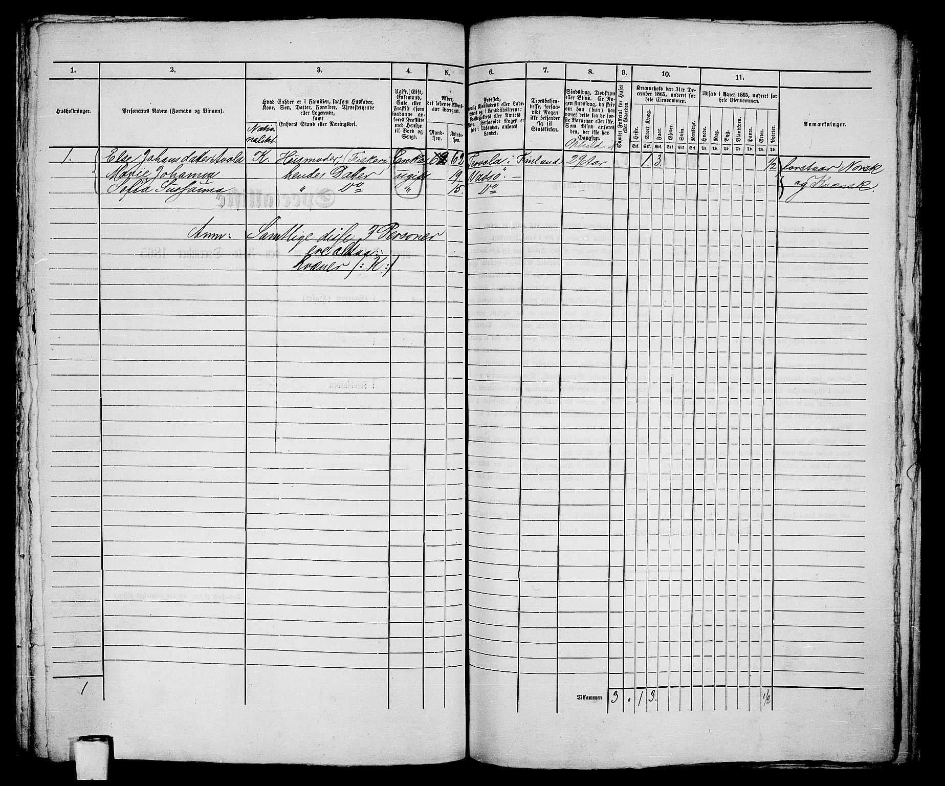 RA, 1865 census for Vadsø/Vadsø, 1865, p. 247