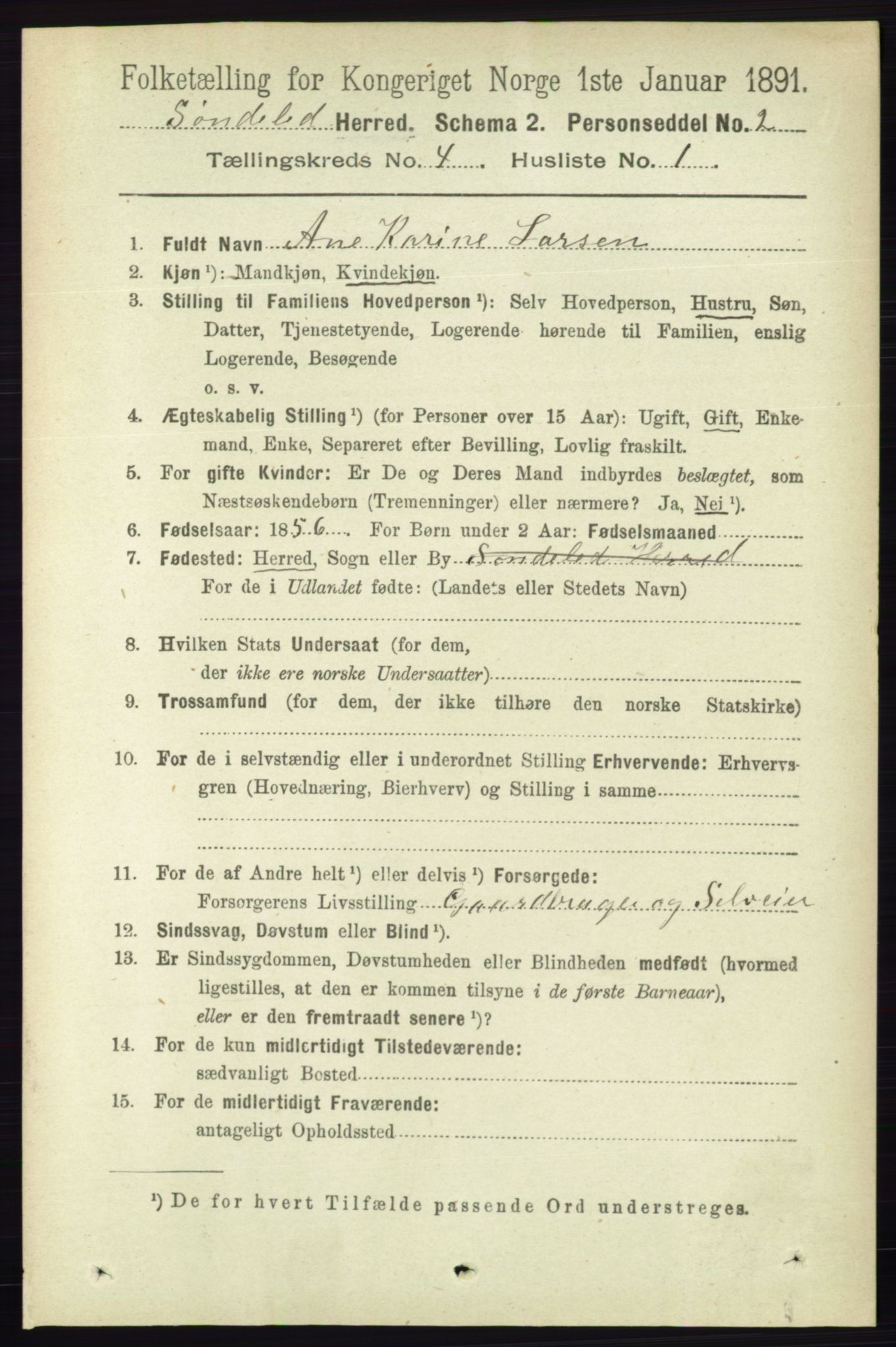 RA, 1891 census for 0913 Søndeled, 1891, p. 878