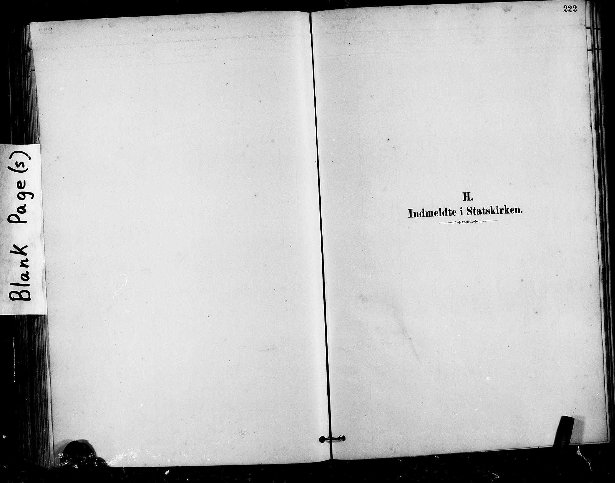 Ministerialprotokoller, klokkerbøker og fødselsregistre - Møre og Romsdal, SAT/A-1454/525/L0376: Parish register (copy) no. 525C02, 1880-1902, p. 222