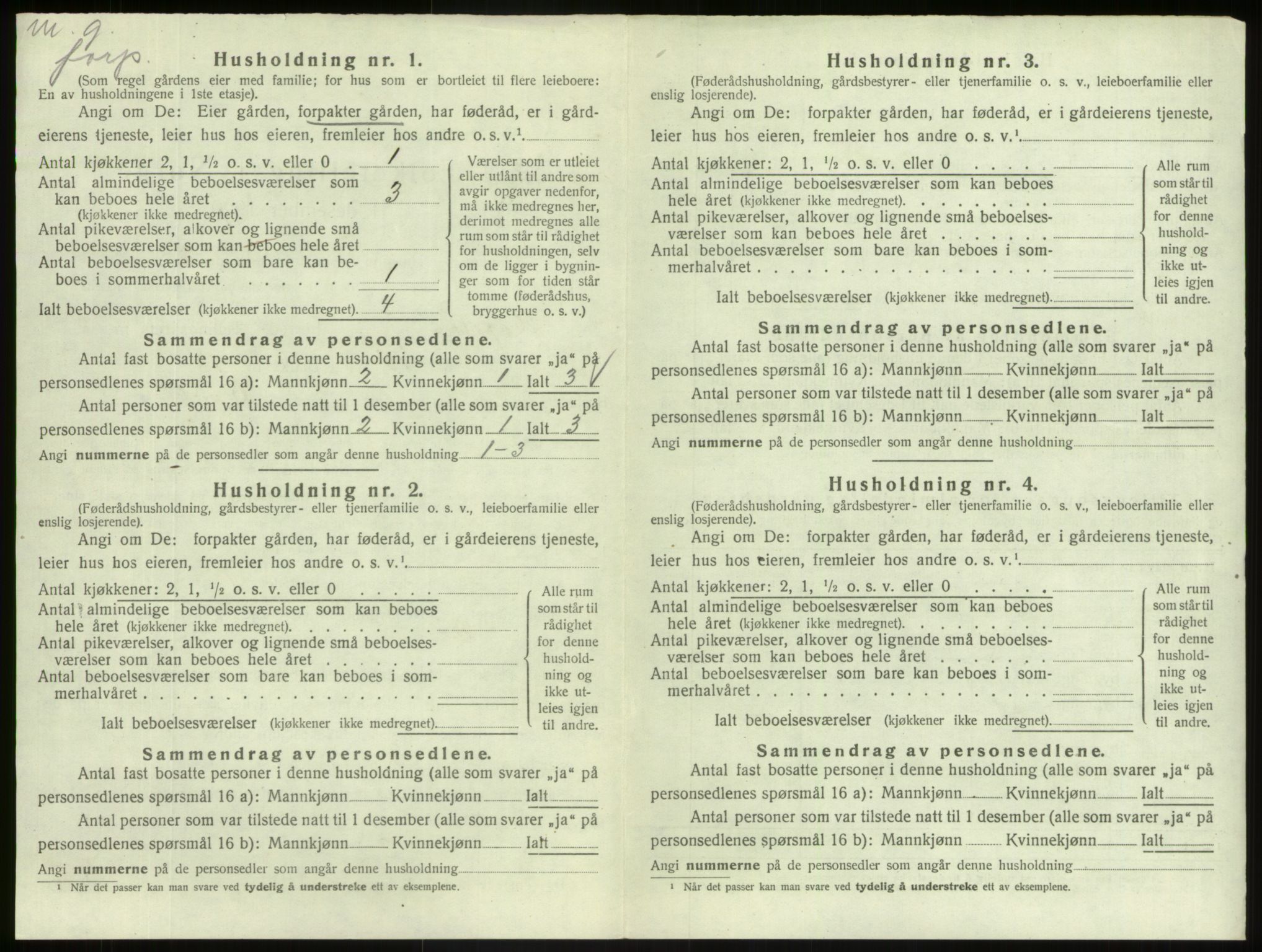 SAB, 1920 census for Hafslo, 1920, p. 541