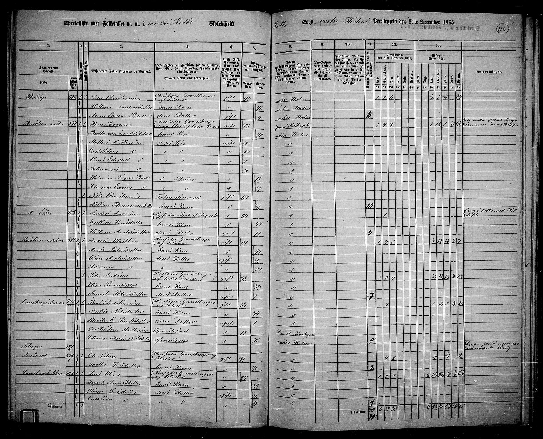 RA, 1865 census for Vestre Toten, 1865, p. 264