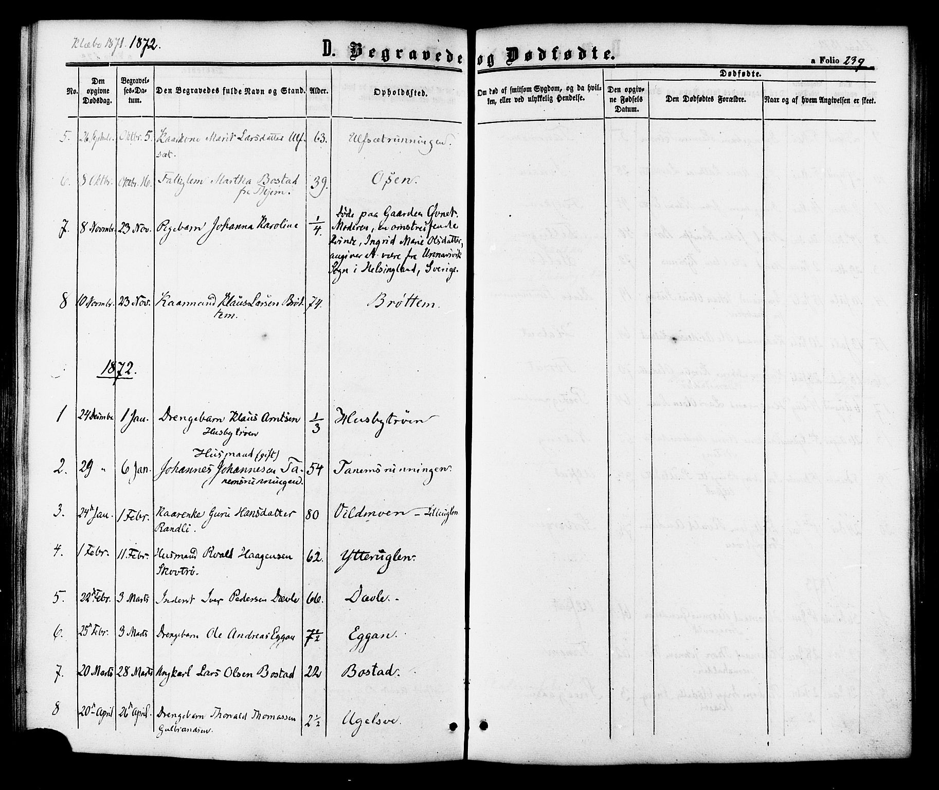 Ministerialprotokoller, klokkerbøker og fødselsregistre - Sør-Trøndelag, SAT/A-1456/618/L0442: Parish register (official) no. 618A06 /1, 1863-1879, p. 239
