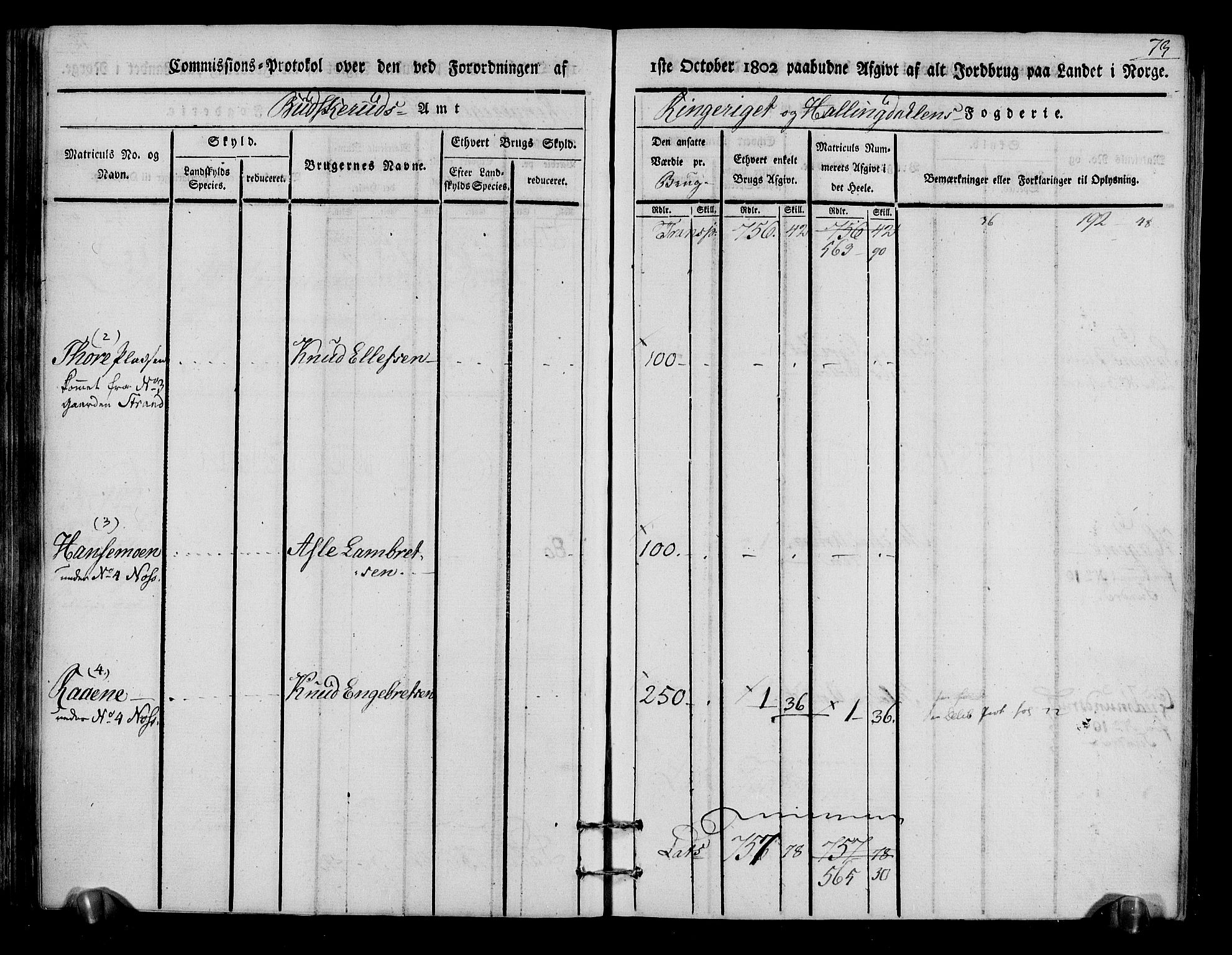 Rentekammeret inntil 1814, Realistisk ordnet avdeling, AV/RA-EA-4070/N/Ne/Nea/L0048: Ringerike og Hallingdal fogderi. Kommisjonsprotokoll for Ål prestegjeld, 1803, p. 77