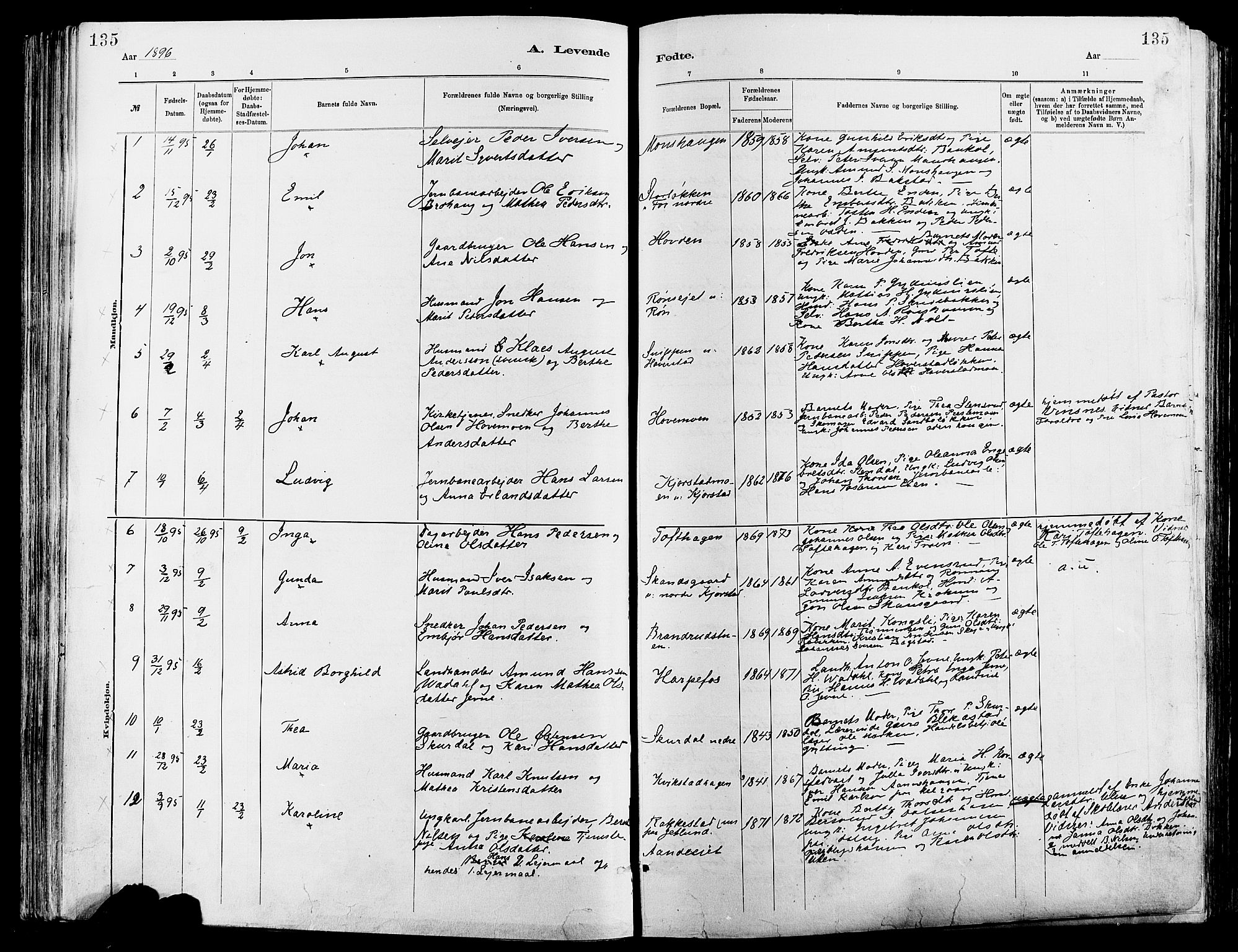 Sør-Fron prestekontor, AV/SAH-PREST-010/H/Ha/Haa/L0003: Parish register (official) no. 3, 1881-1897, p. 135