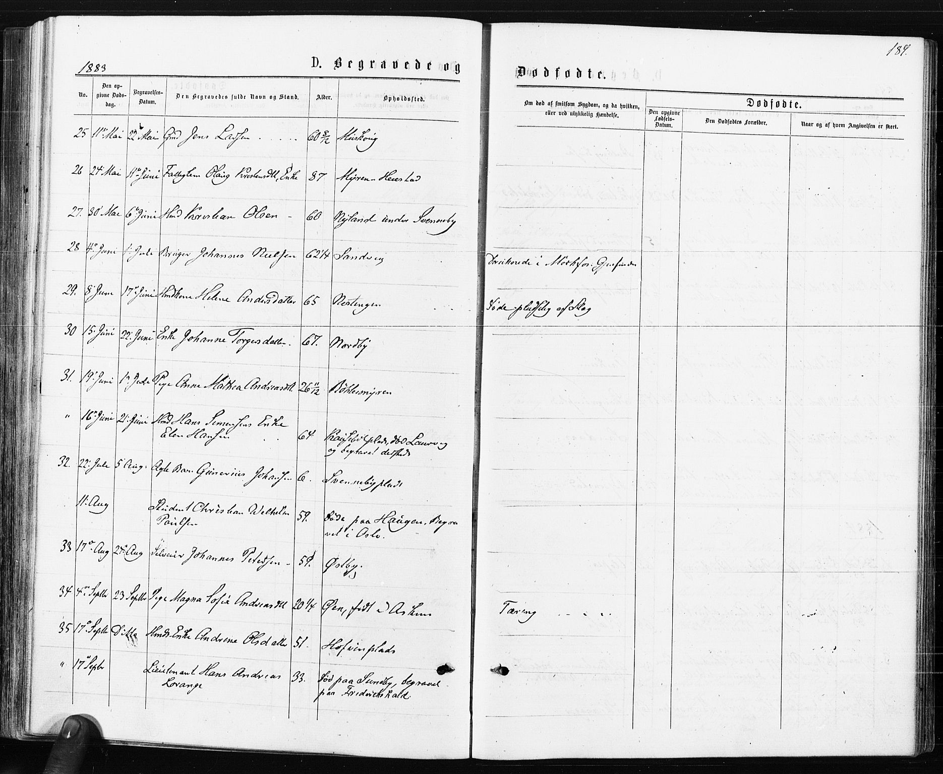 Spydeberg prestekontor Kirkebøker, AV/SAO-A-10924/F/Fa/L0007: Parish register (official) no. I 7, 1875-1885, p. 189