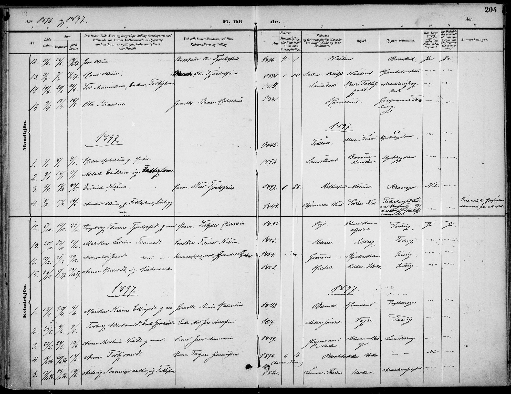 Drangedal kirkebøker, SAKO/A-258/F/Fa/L0012: Parish register (official) no. 12, 1895-1905, p. 204