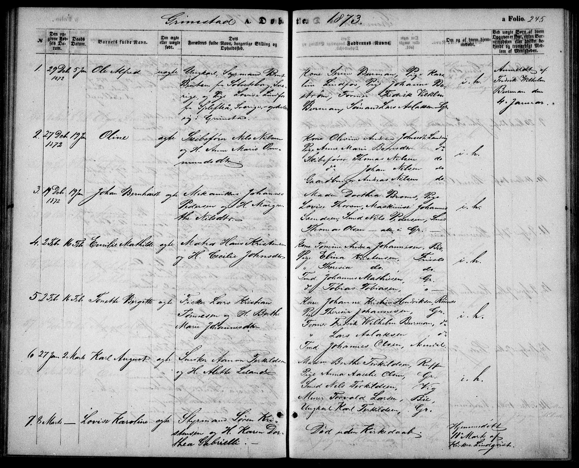 Fjære sokneprestkontor, SAK/1111-0011/F/Fb/L0009: Parish register (copy) no. B 9, 1867-1870, p. 245