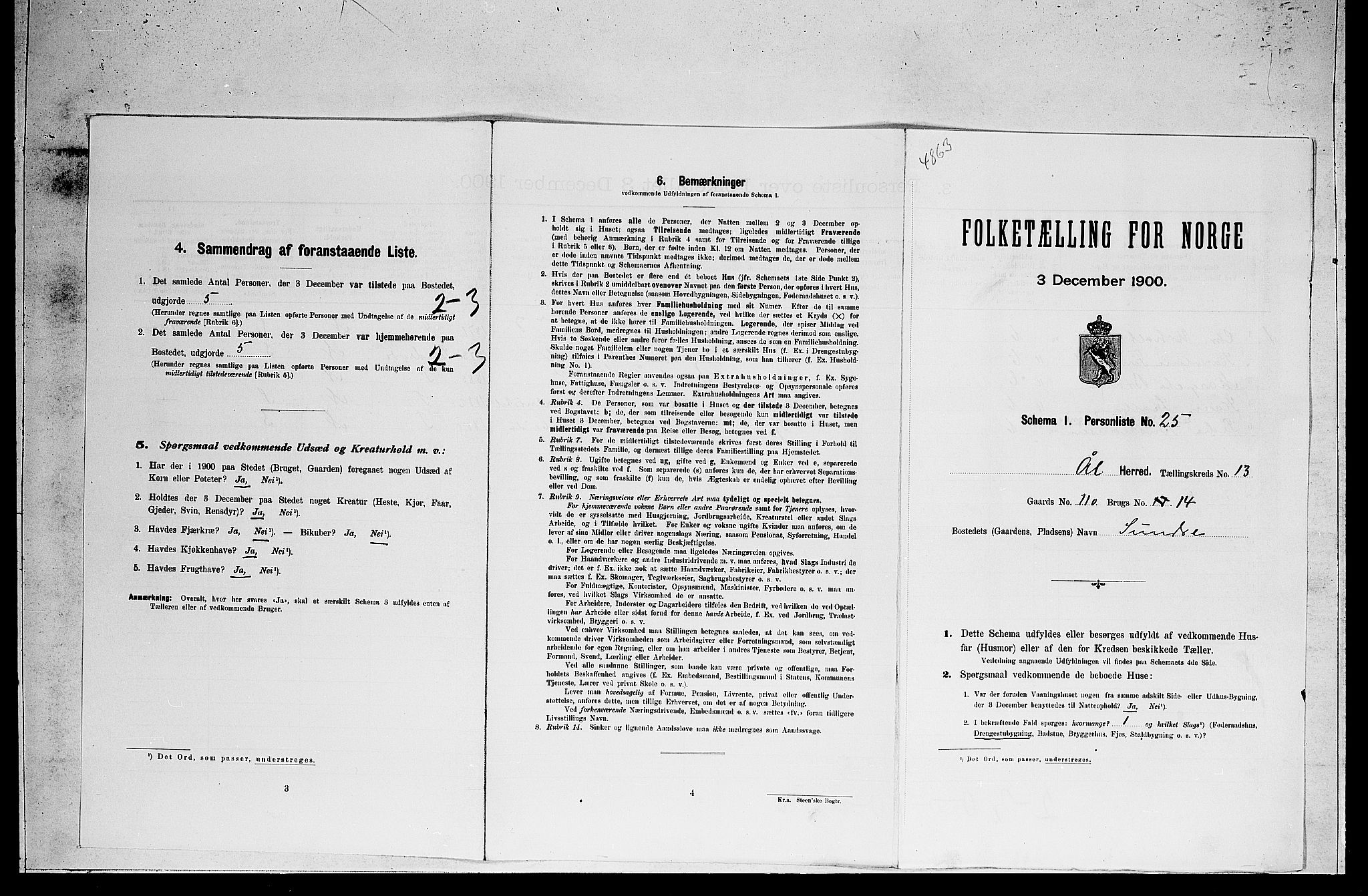 RA, 1900 census for Ål, 1900, p. 1050