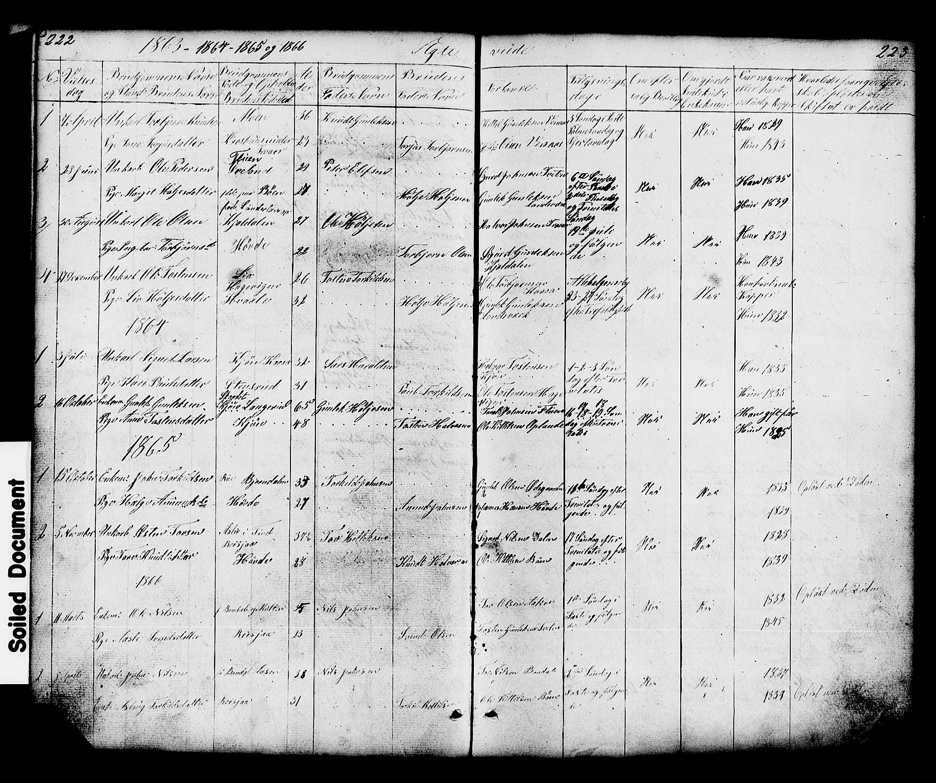 Hjartdal kirkebøker, SAKO/A-270/G/Gc/L0002: Parish register (copy) no. III 2, 1854-1890, p. 222-223