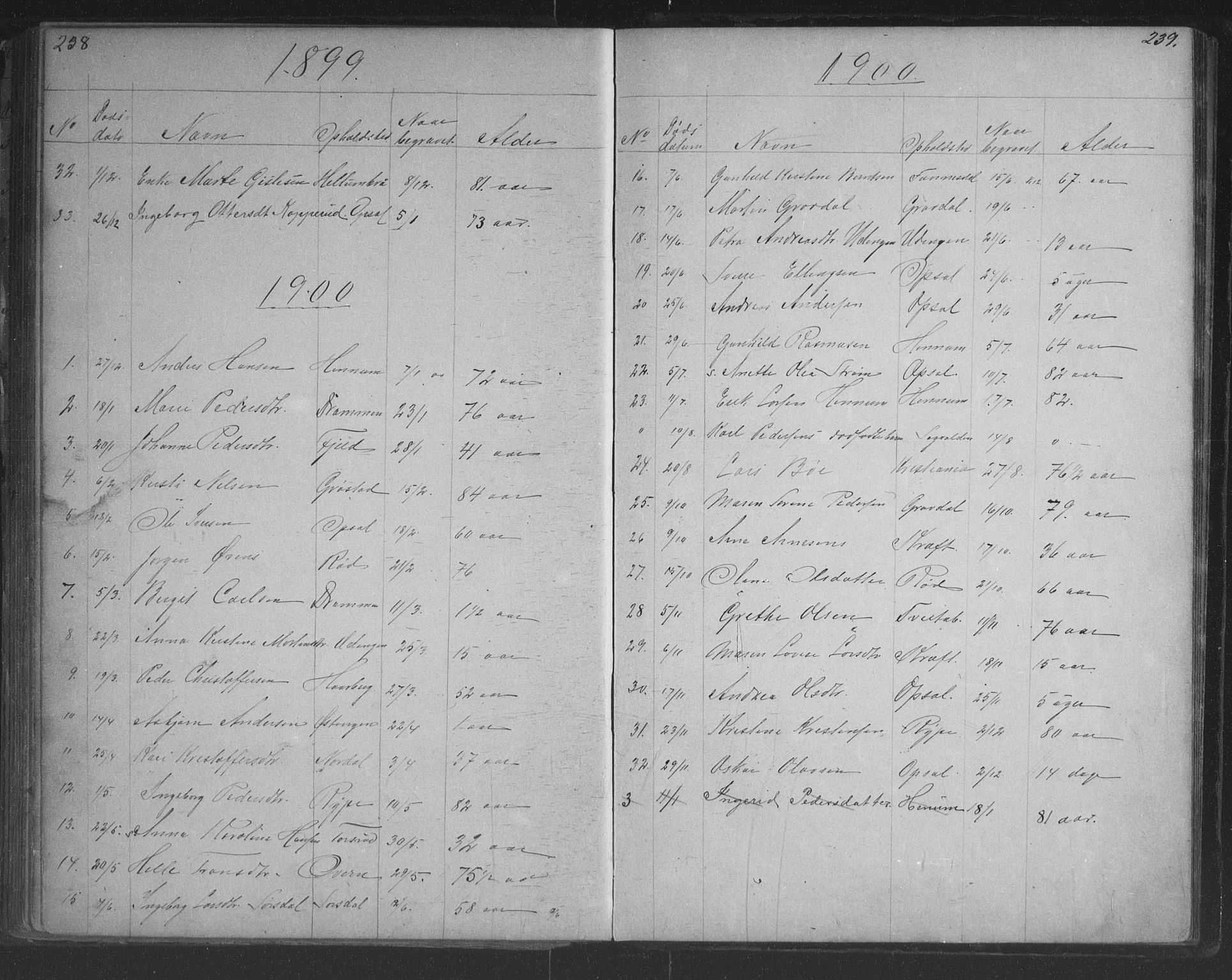 Lier kirkebøker, SAKO/A-230/G/Gc/L0001: Parish register (copy) no. III 1, 1873-1903, p. 238-239