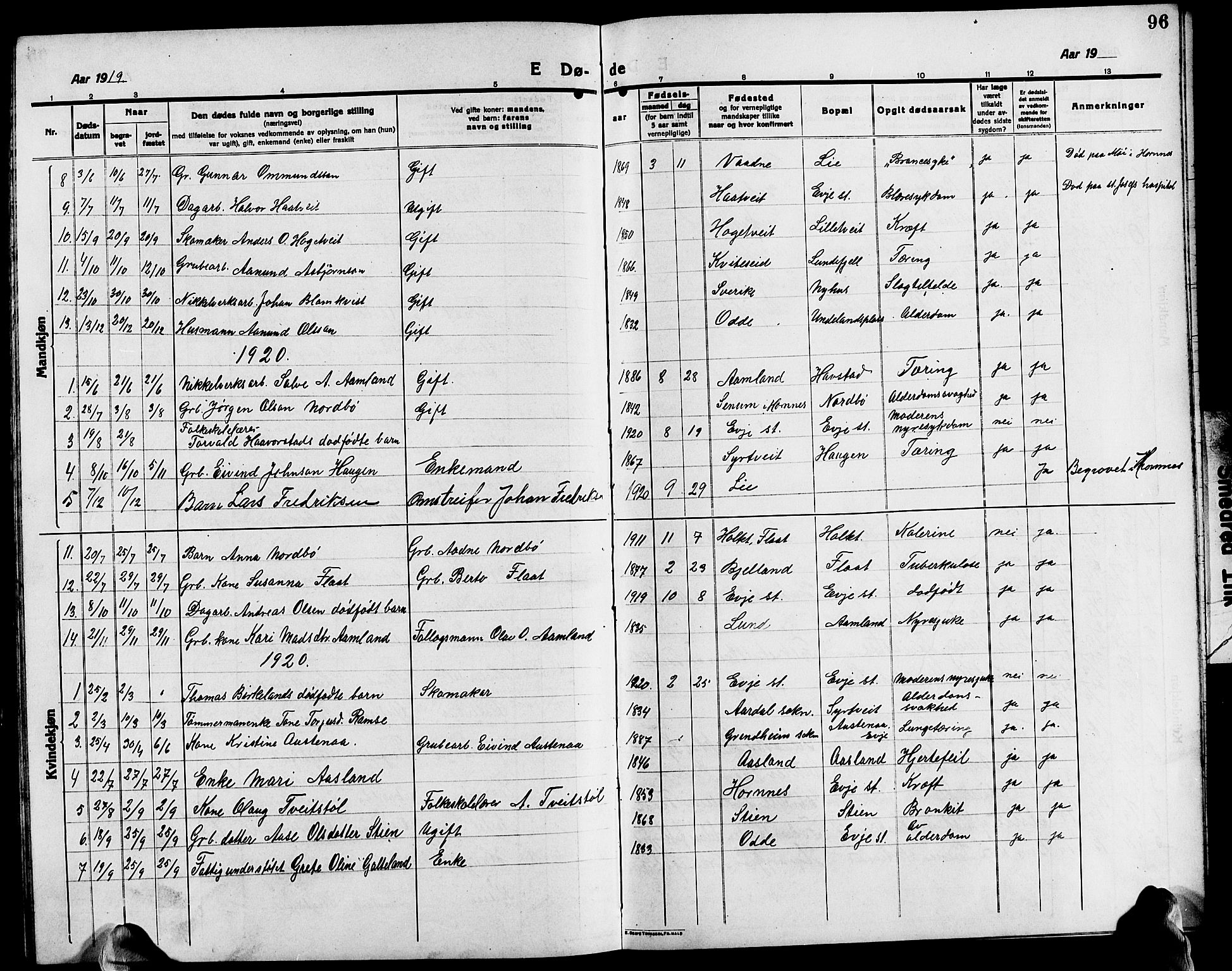Evje sokneprestkontor, SAK/1111-0008/F/Fb/Fba/L0005: Parish register (copy) no. B 5, 1914-1926, p. 96