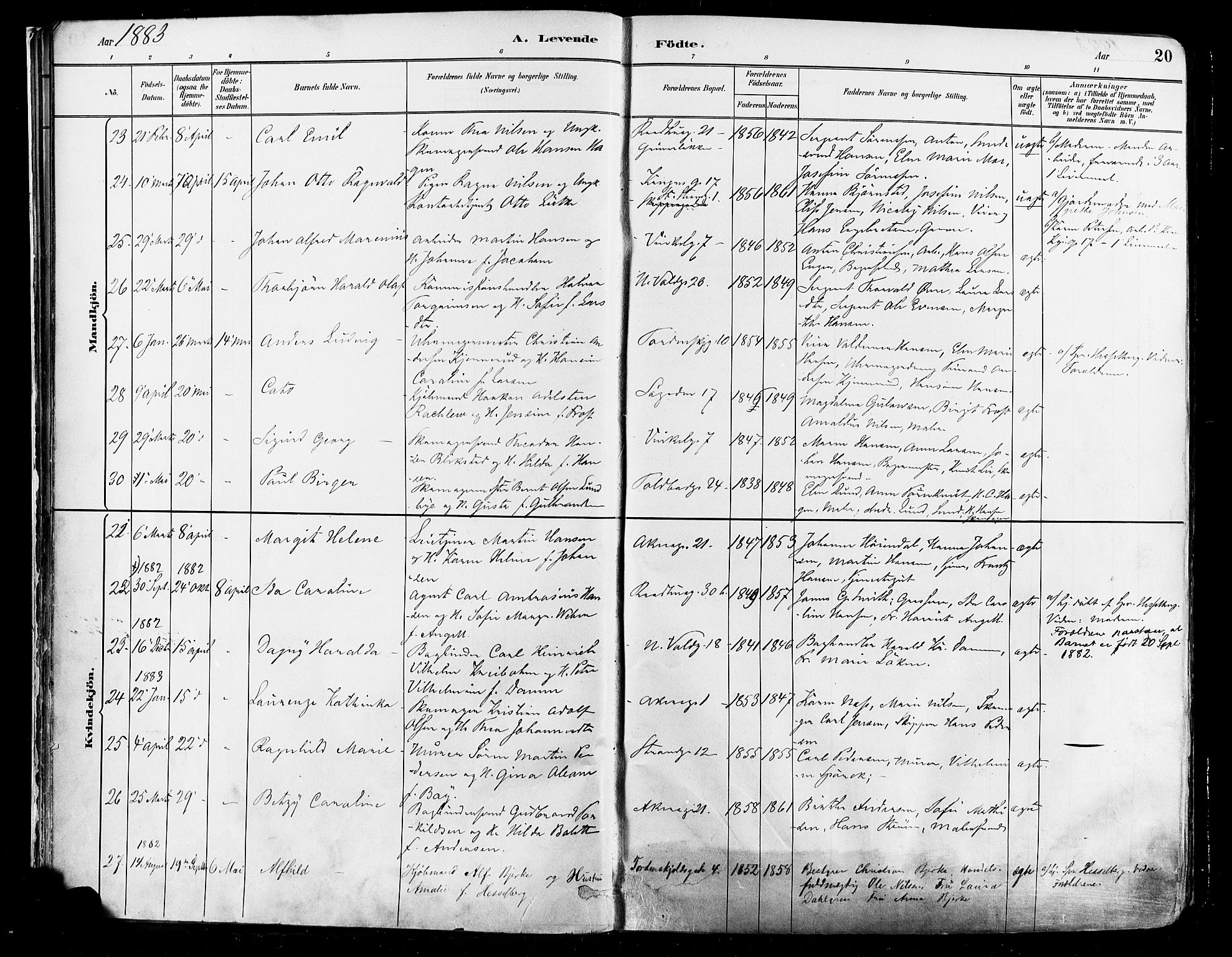 Johannes prestekontor Kirkebøker, AV/SAO-A-10852/F/Fa/L0003: Parish register (official) no. 3, 1882-1896, p. 20