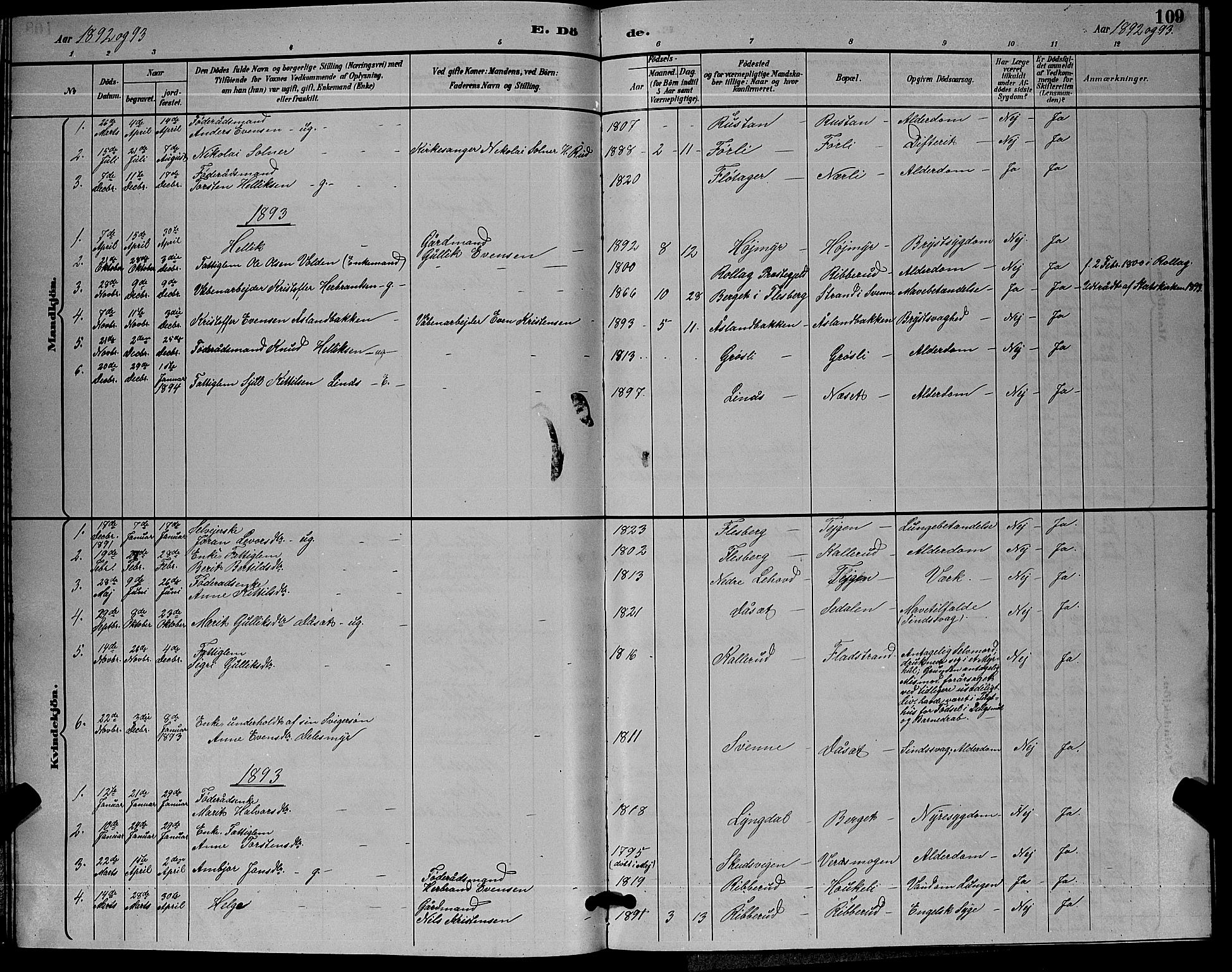 Flesberg kirkebøker, SAKO/A-18/G/Ga/L0004: Parish register (copy) no. I 4 /1, 1890-1898, p. 109