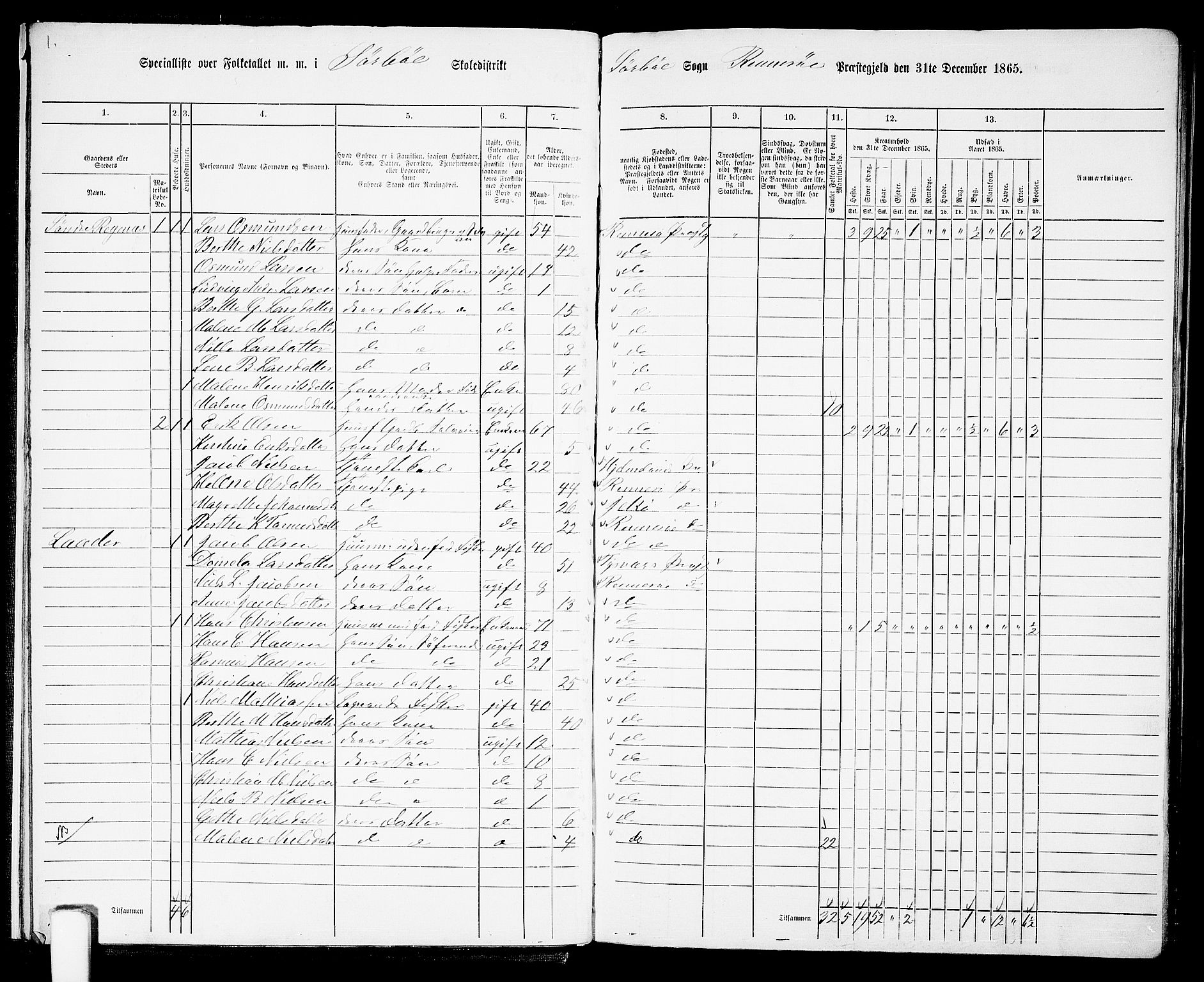 RA, 1865 census for Rennesøy, 1865, p. 11